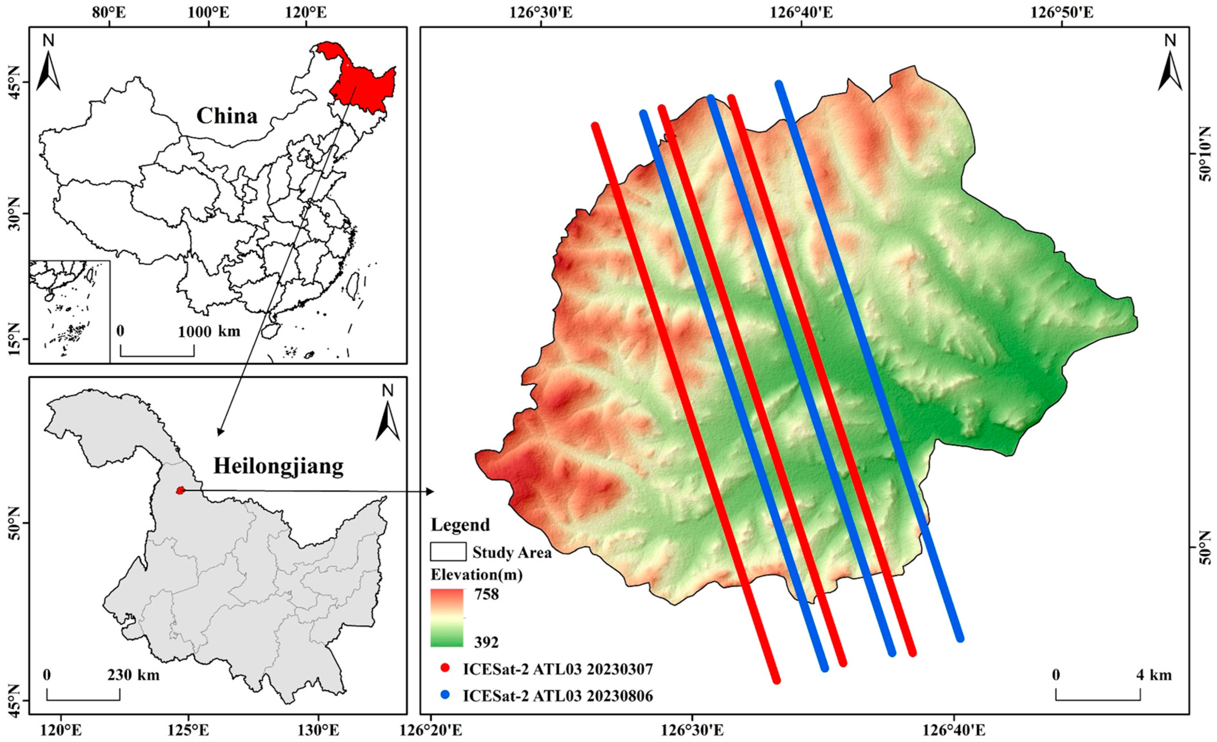 Forests 16 00524 g001