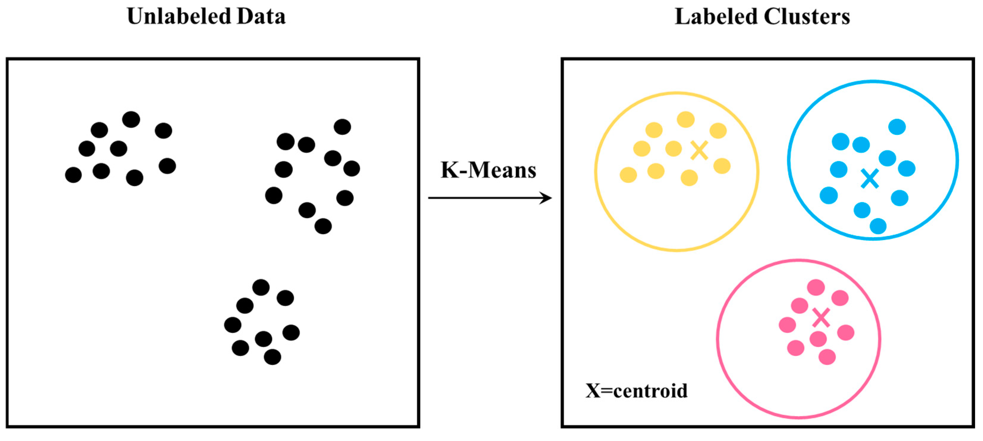 Forests 16 00524 g008