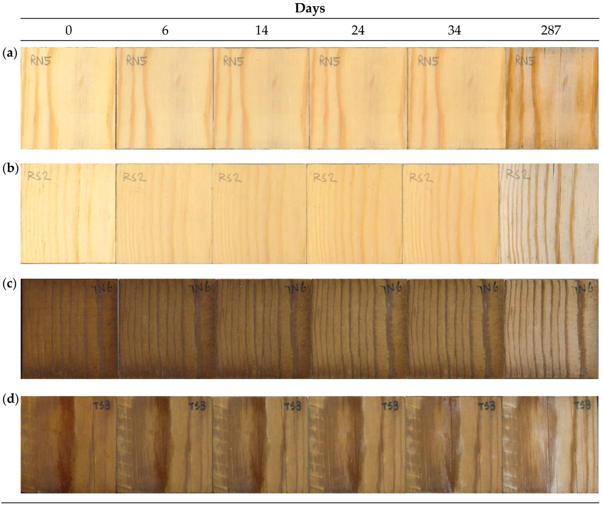 Forests 16 00526 g005