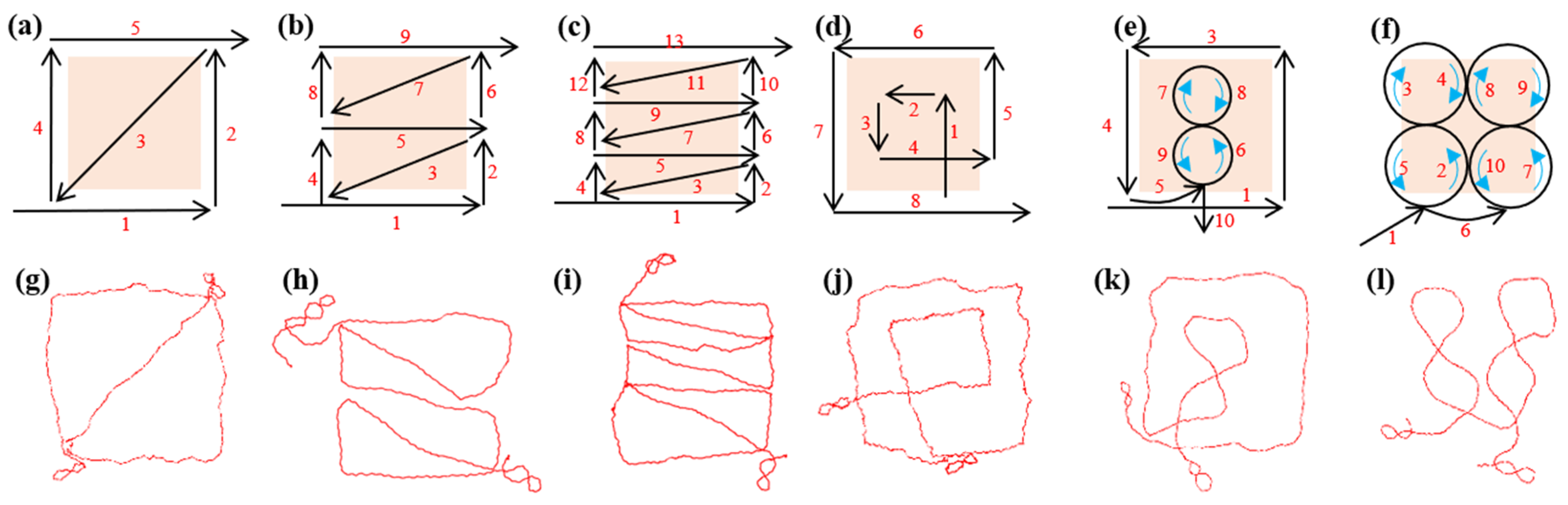 Forests 16 00527 g002