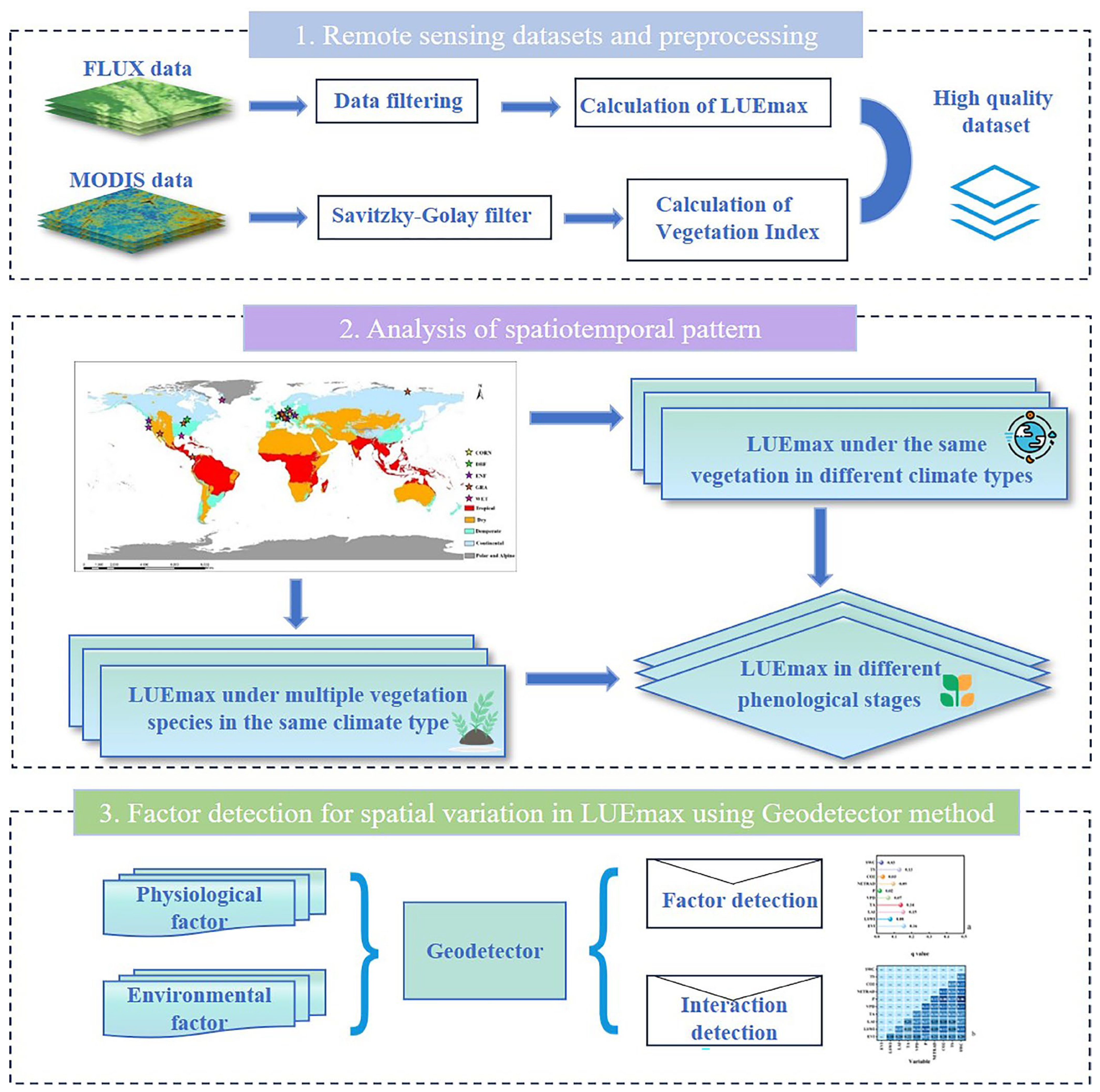Forests 16 00528 g002