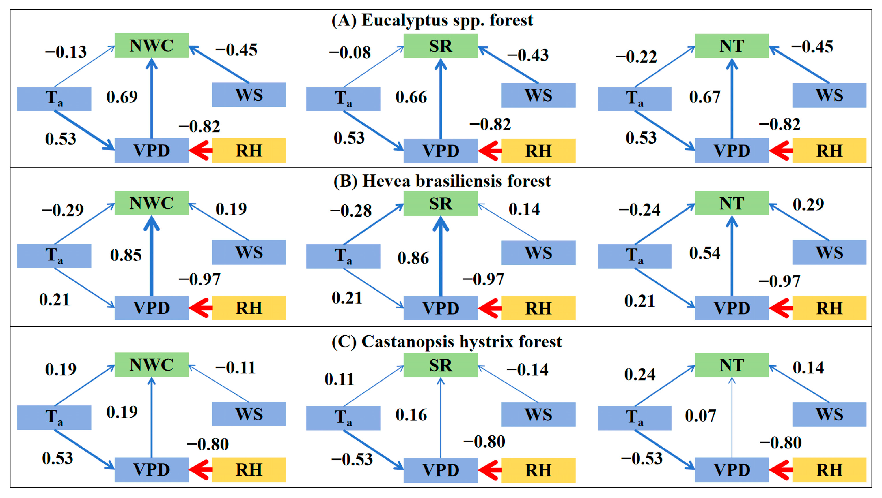 Forests 16 00529 g008