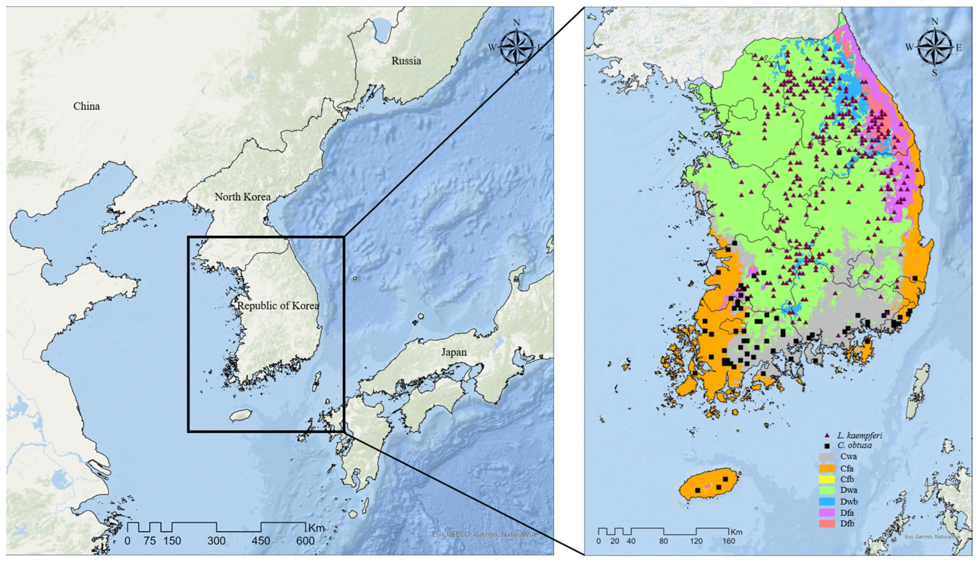 Forests 16 00530 g001