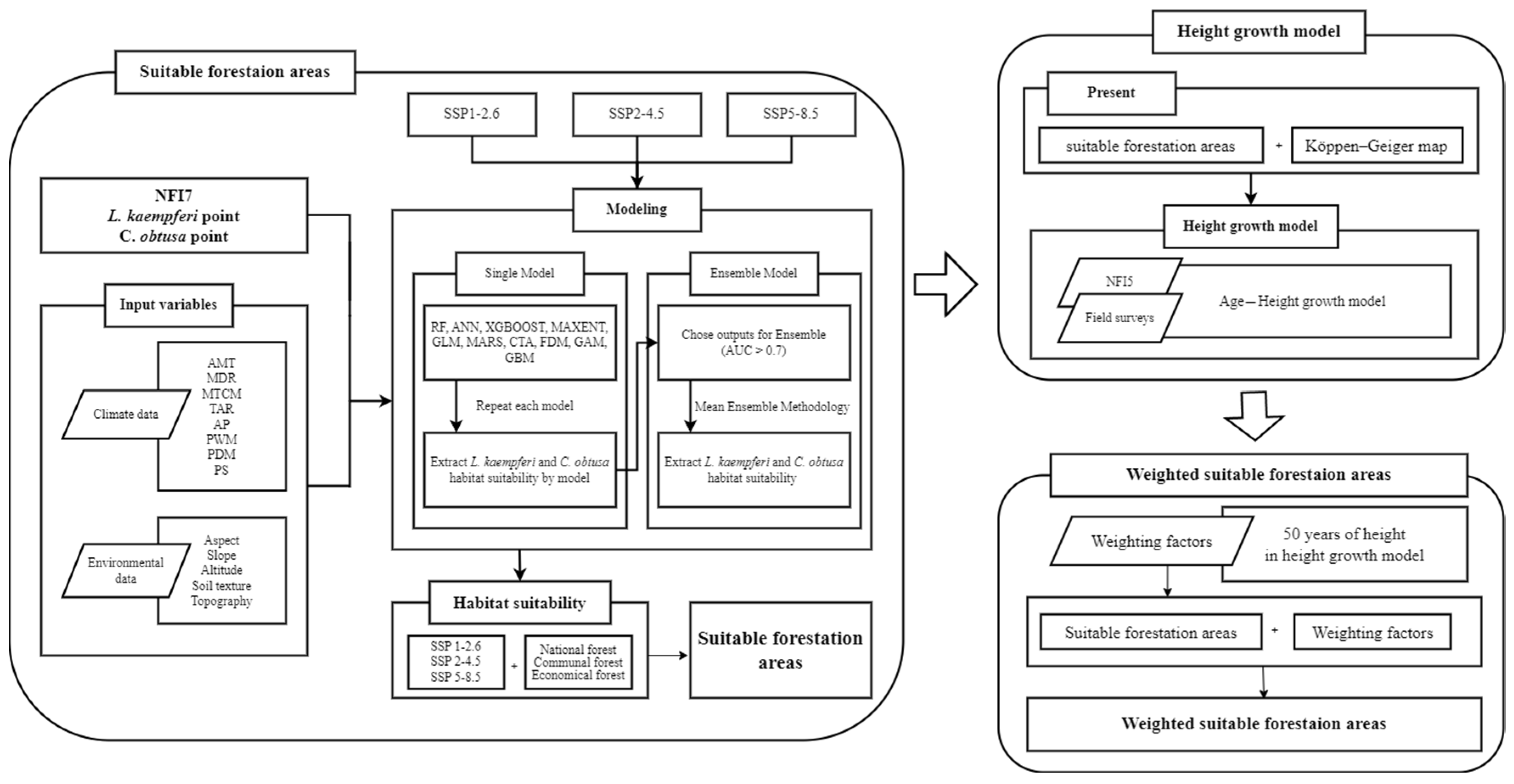 Forests 16 00530 g002