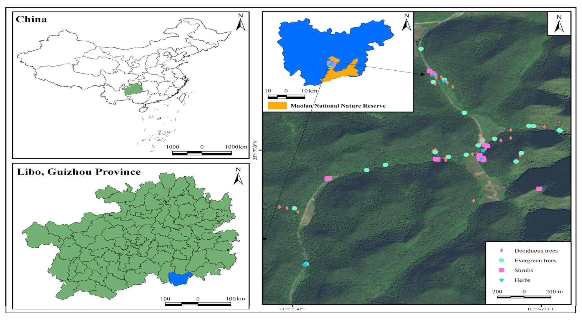 Forests 16 00532 g001