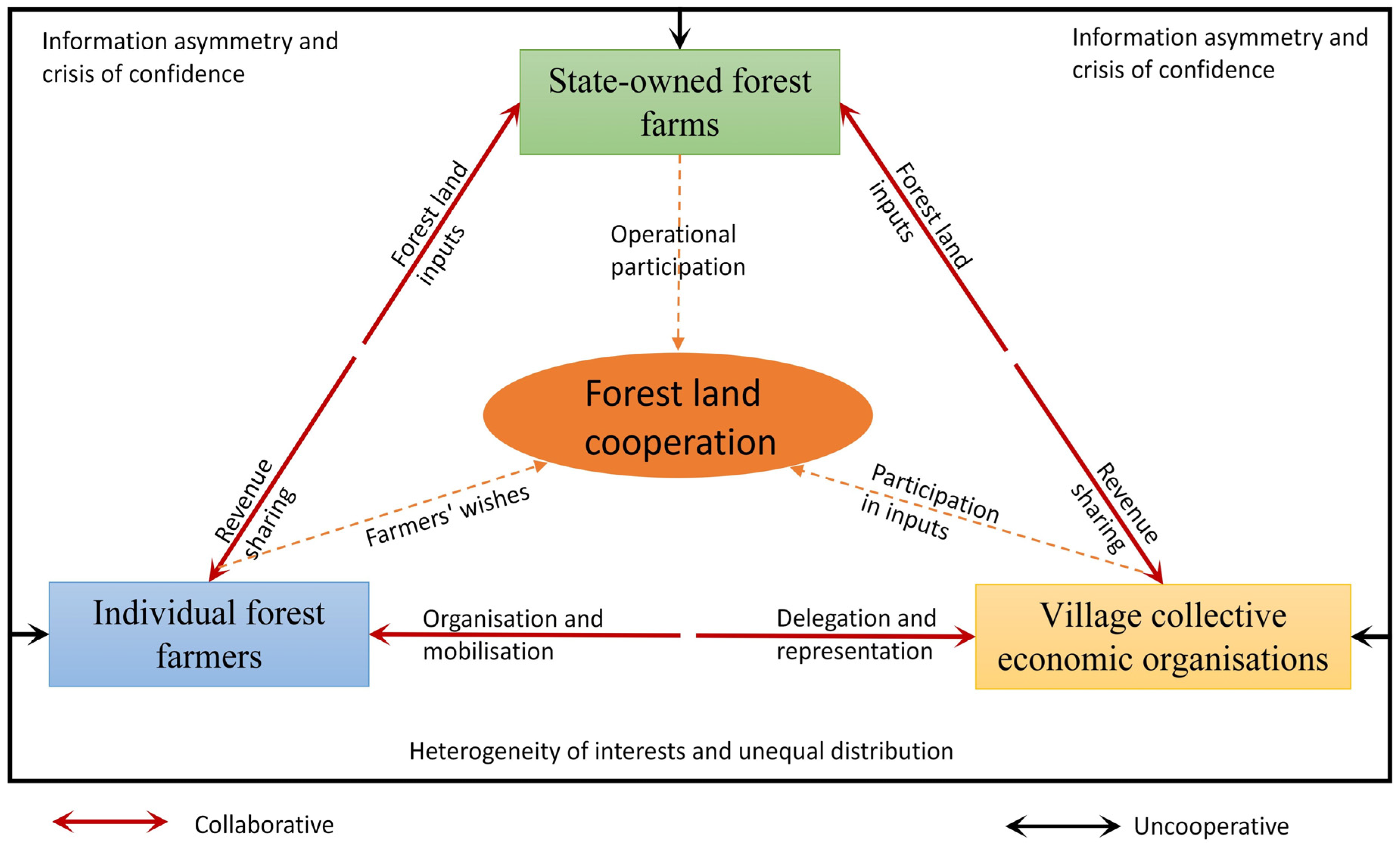 Forests 16 00534 g002