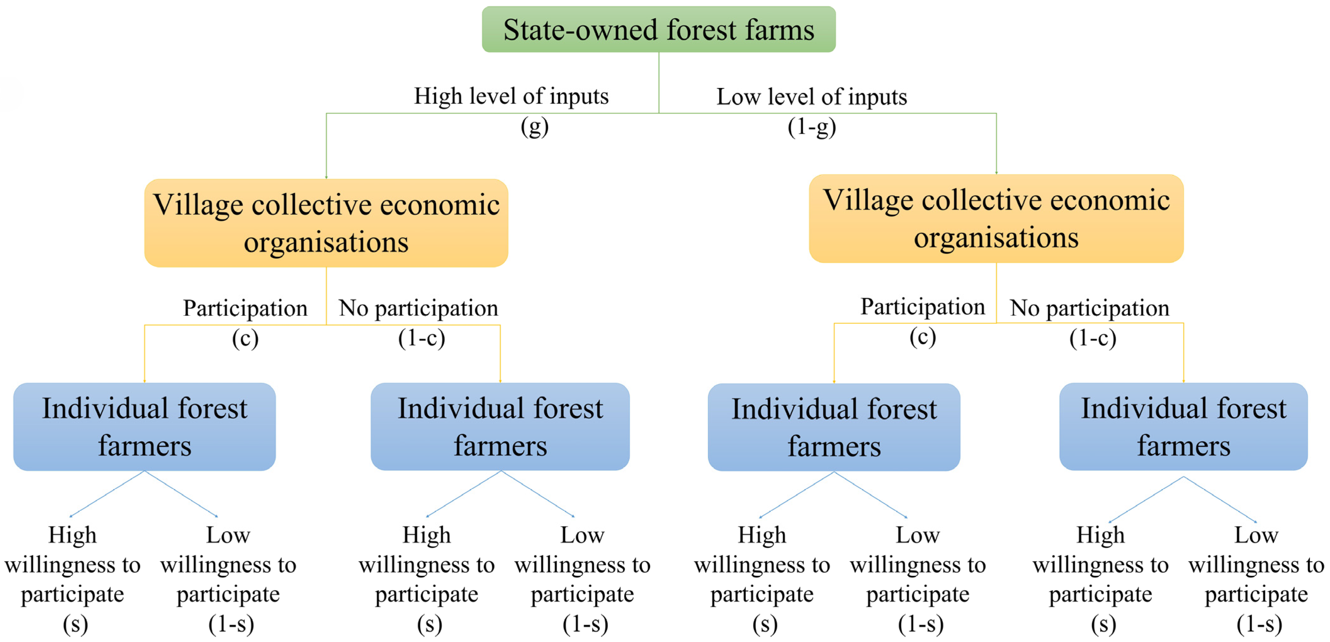 Forests 16 00534 g004