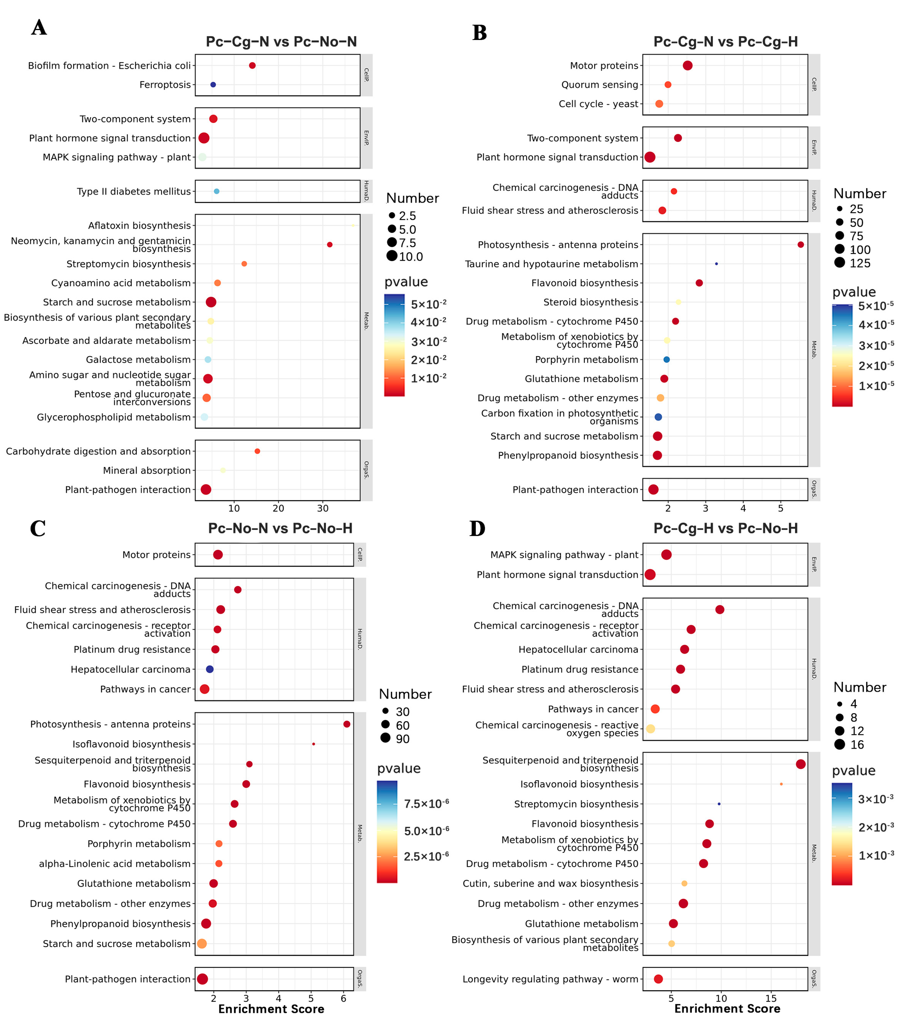Forests 16 00537 g004