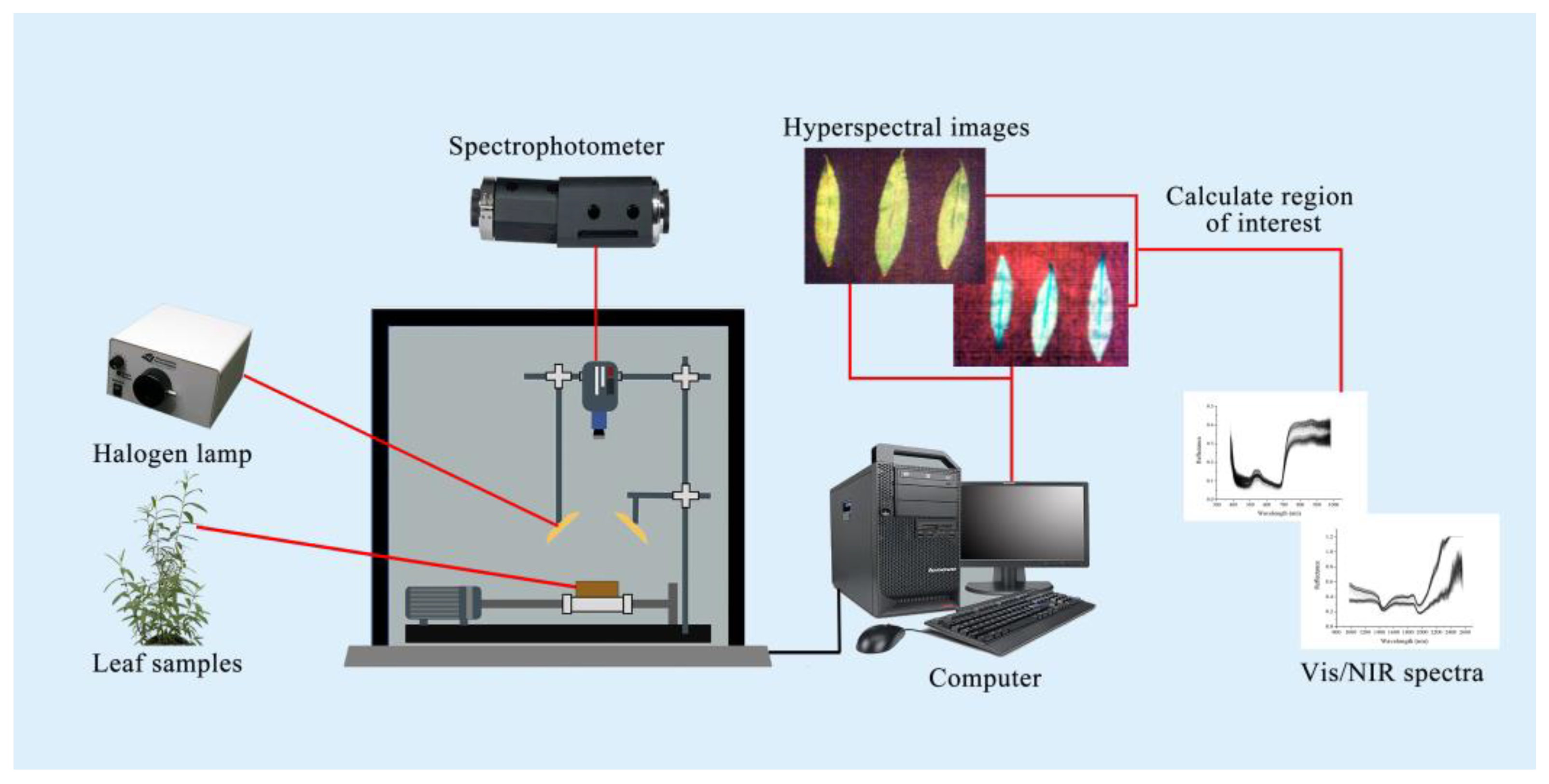 Forests 16 00538 g001