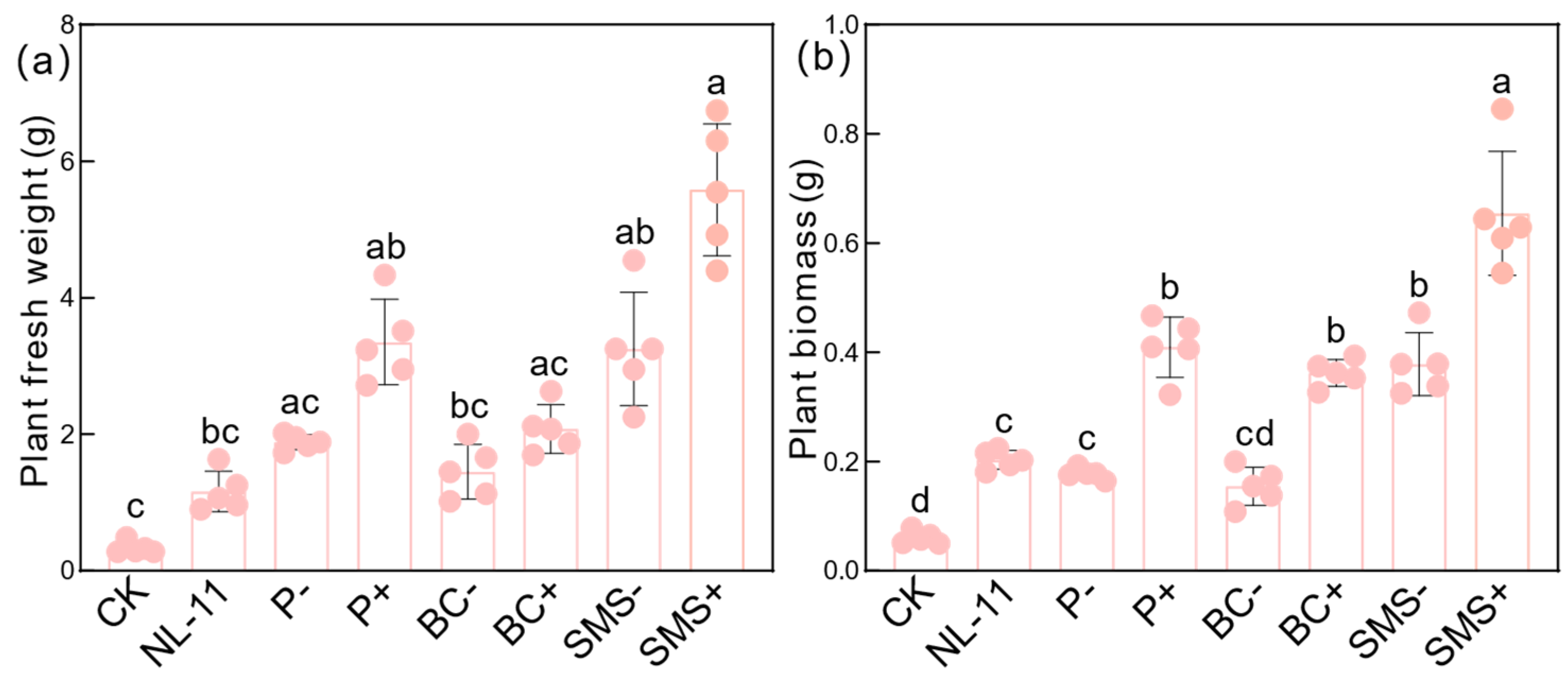 Forests 16 00539 g001