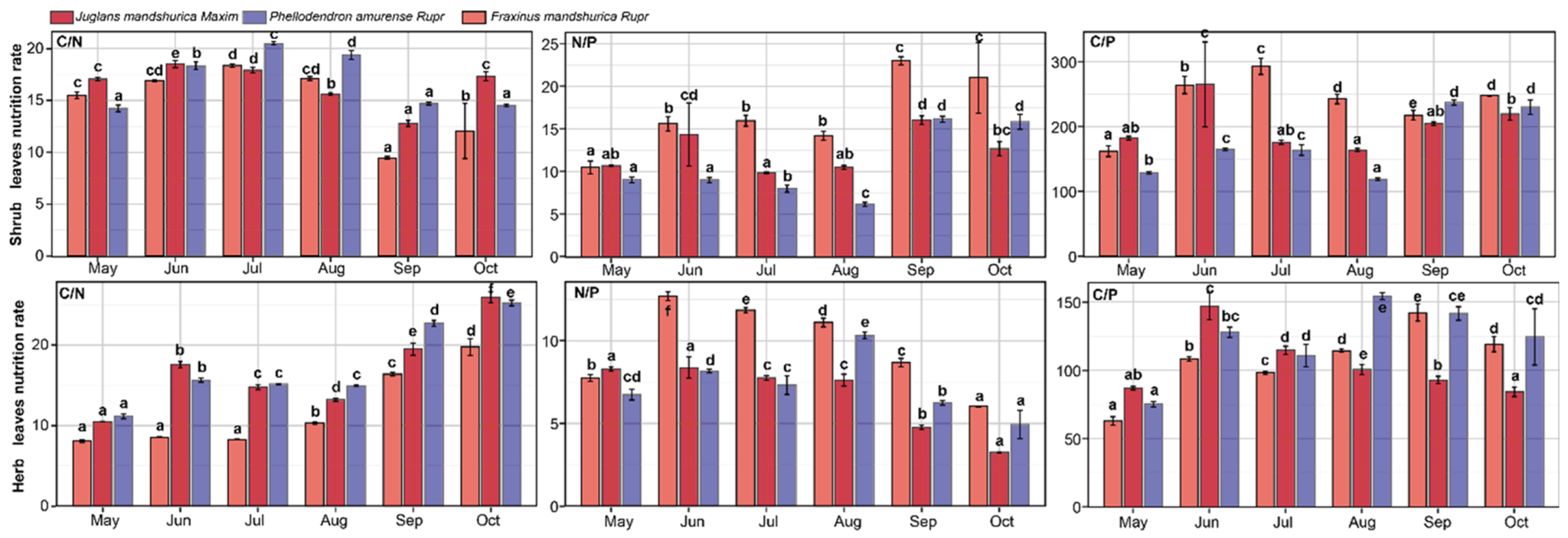 Forests 16 00540 g004