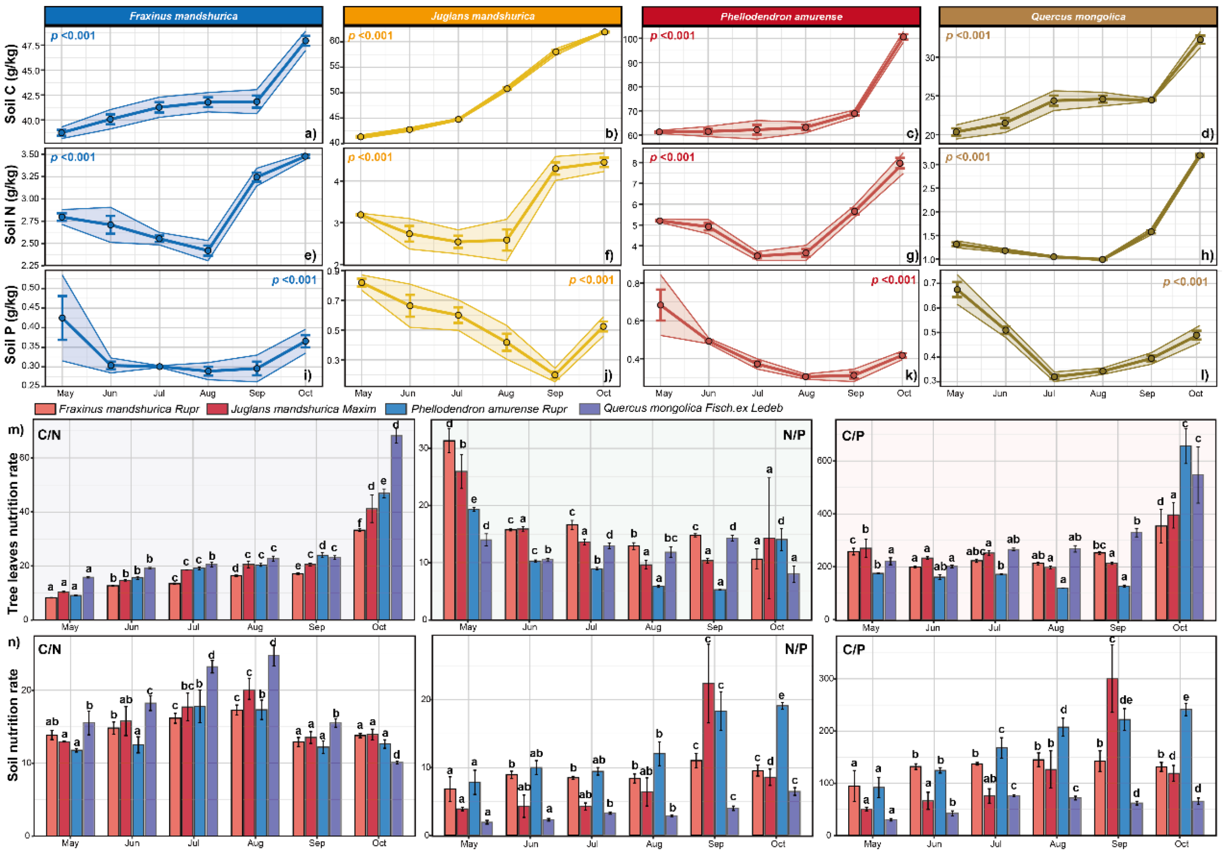 Forests 16 00540 g005