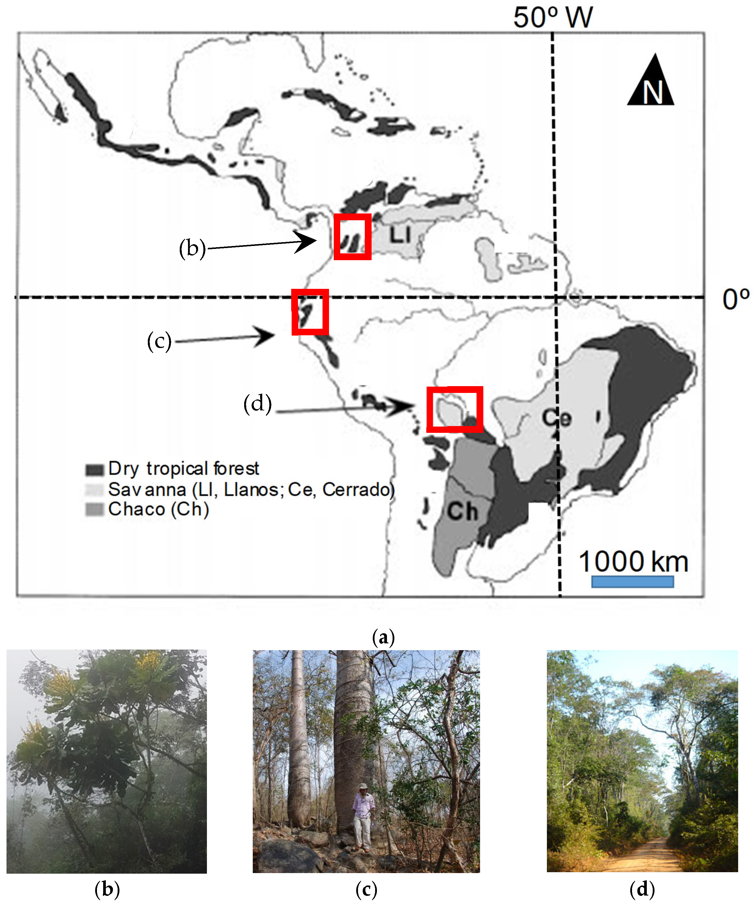 Forests 16 00542 g001 Forests 16 00542 g001