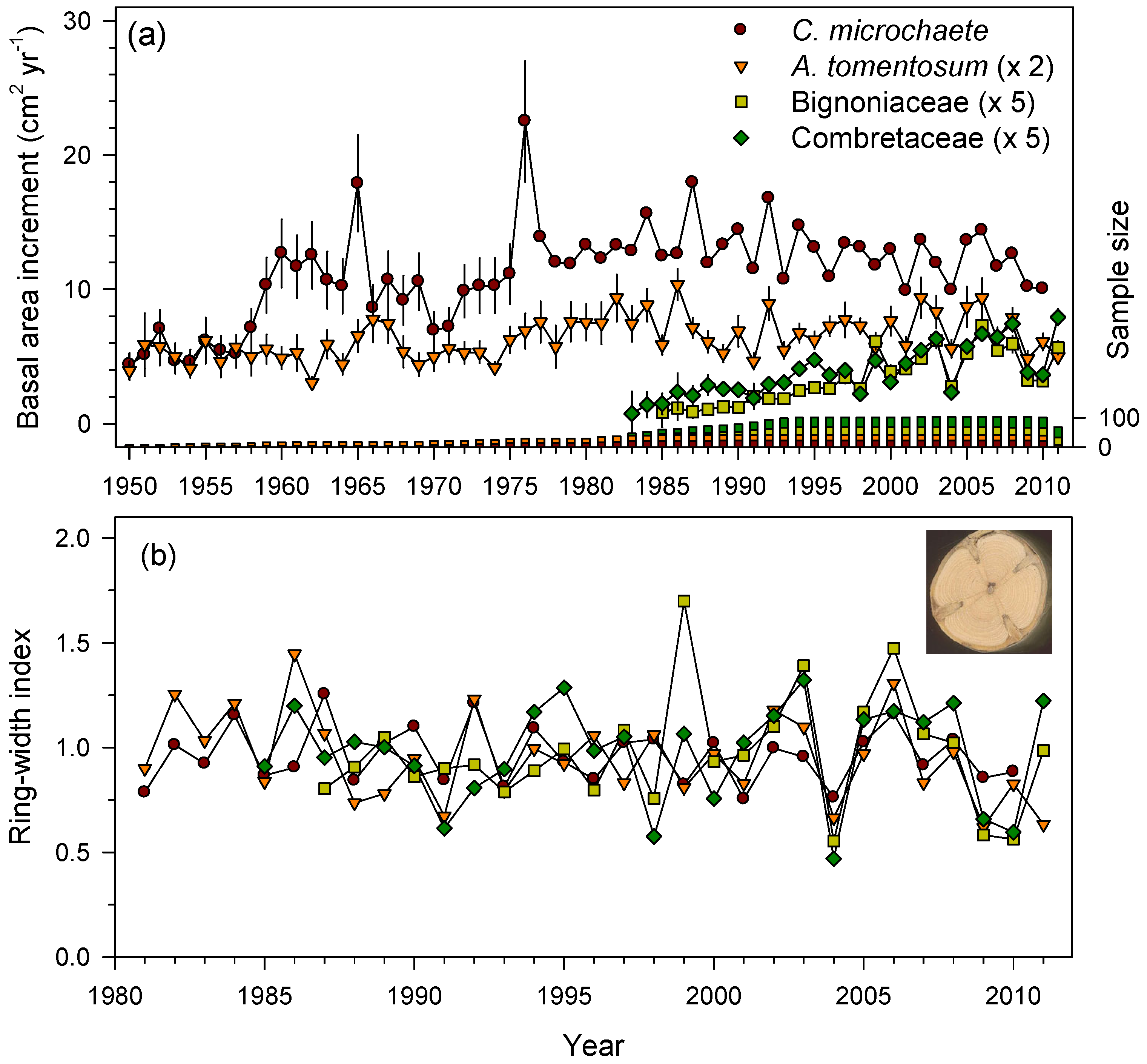 Forests 16 00542 g004 Forests 16 00542 g004