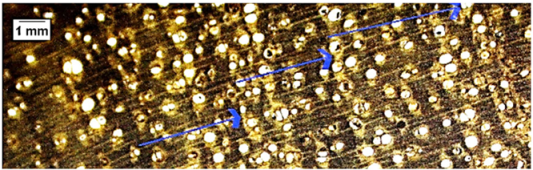 Forests 16 00542 i016 Forests 16 00542 i016