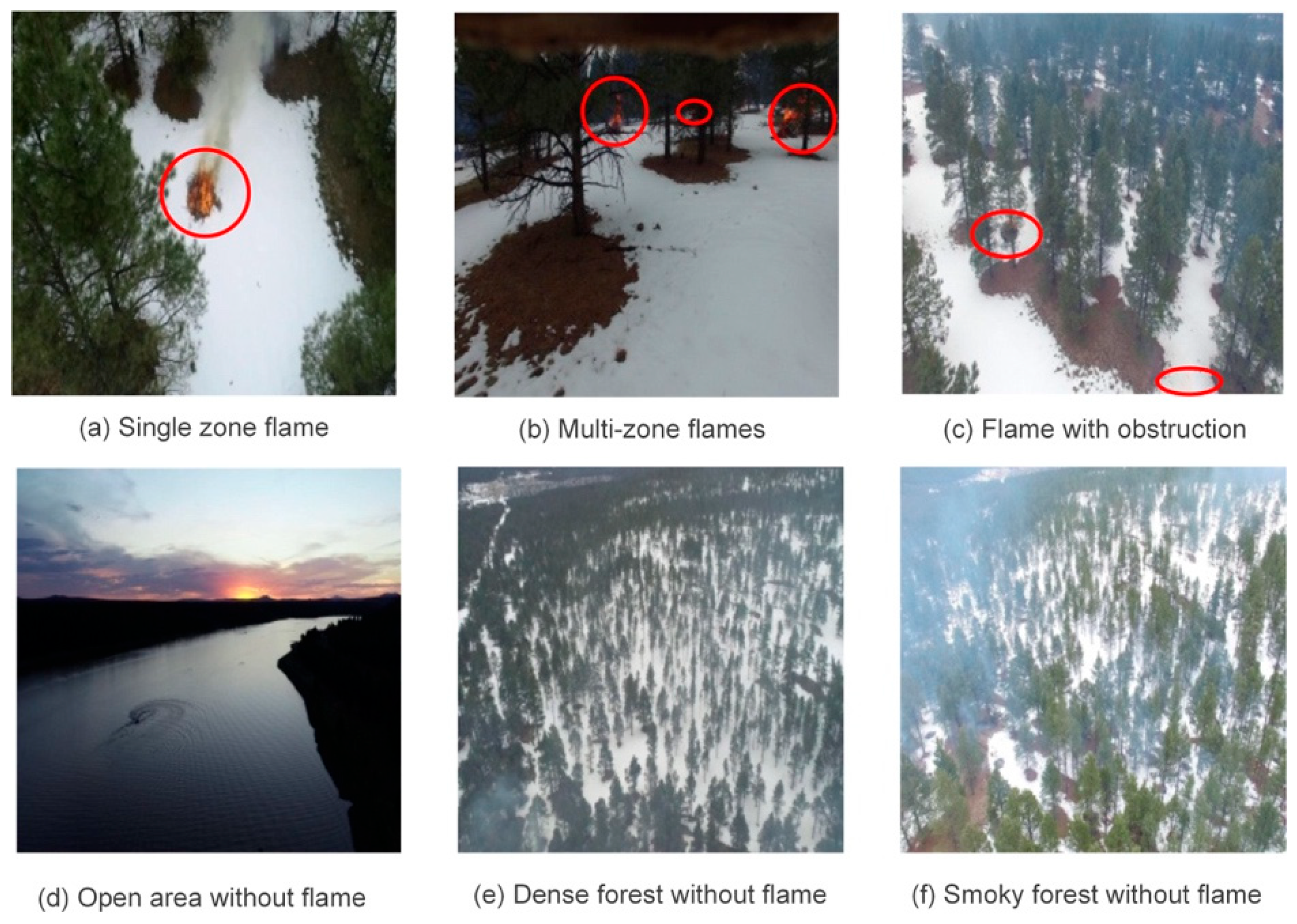 Forests 16 00544 g005