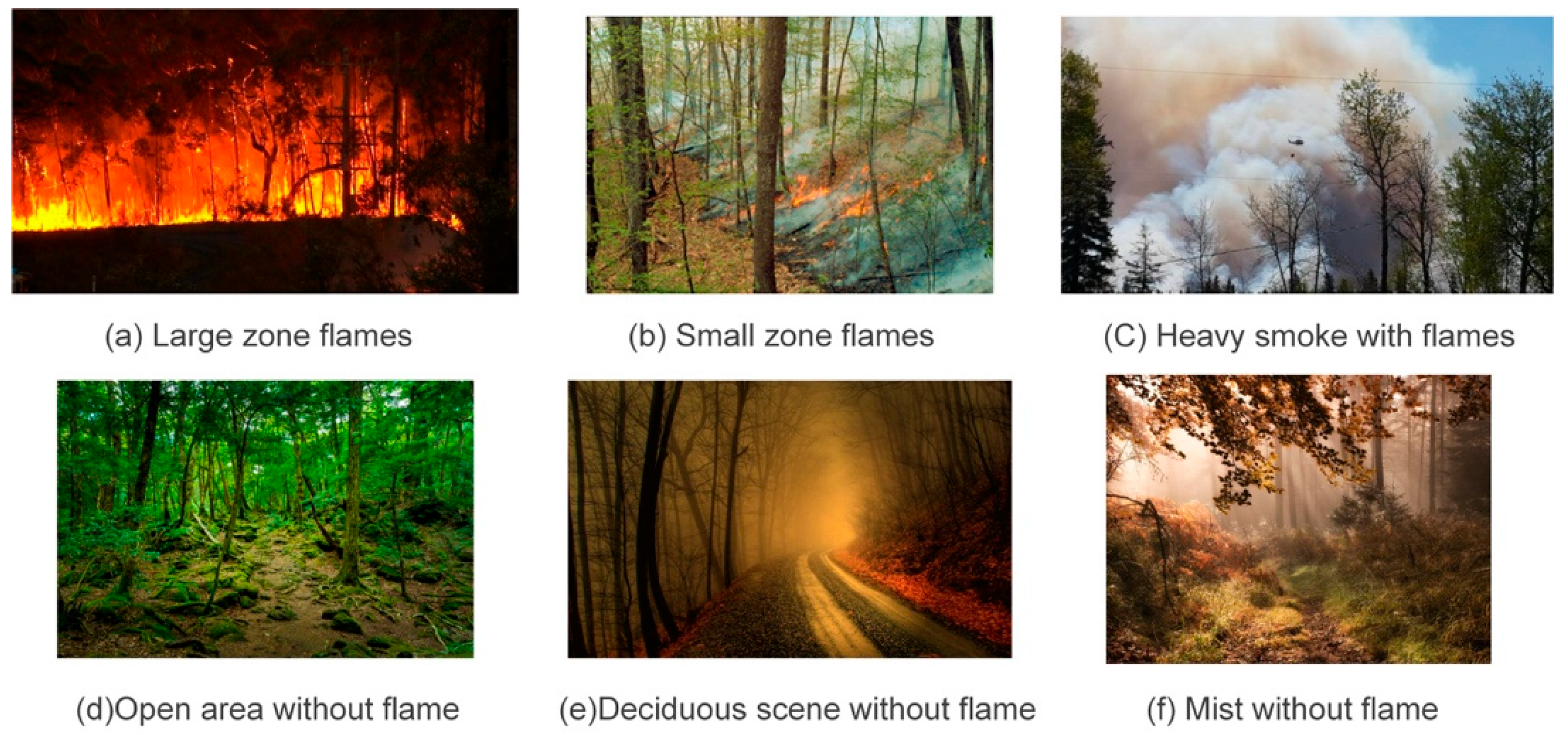 Forests 16 00544 g006