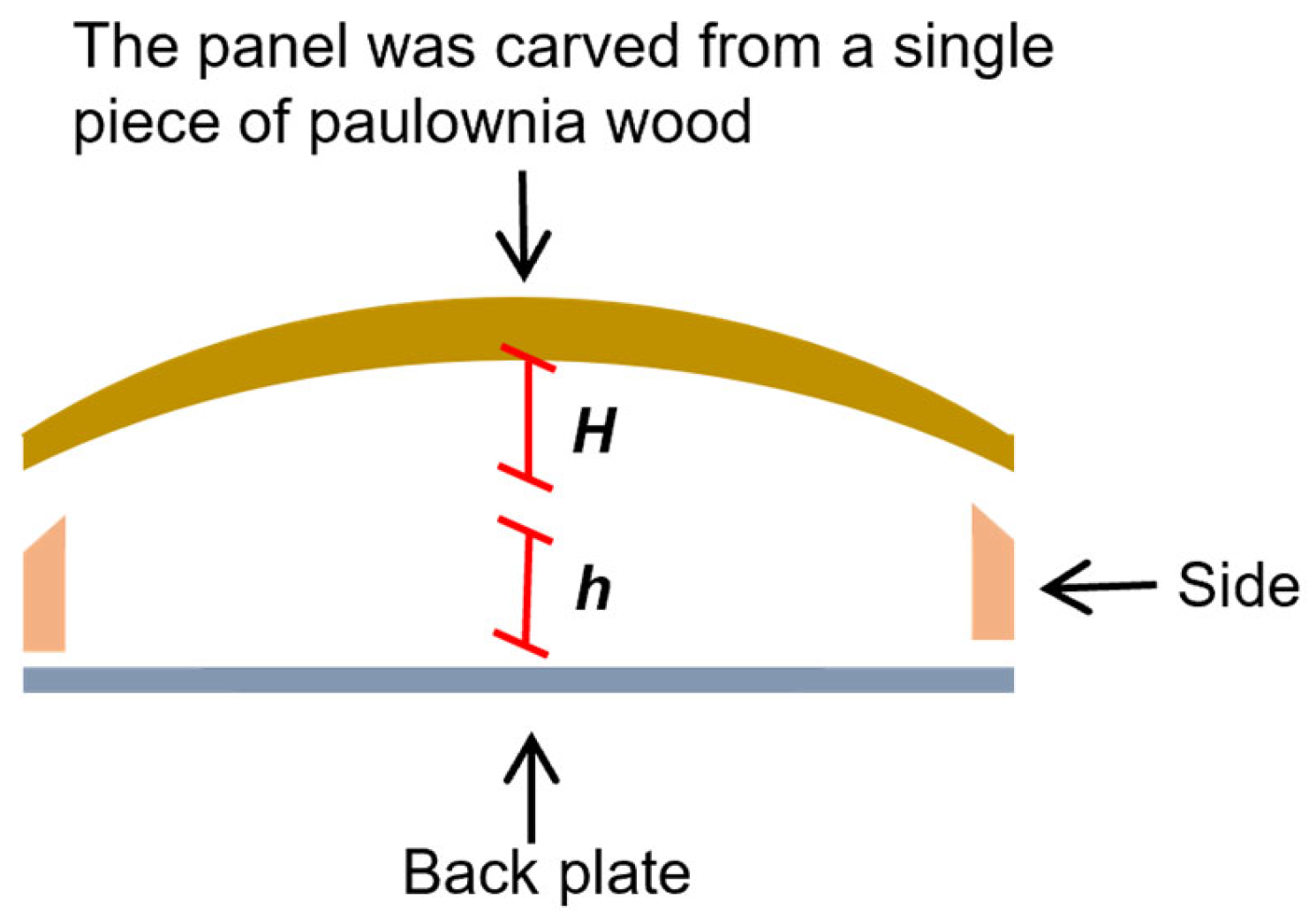Forests 16 00545 g001