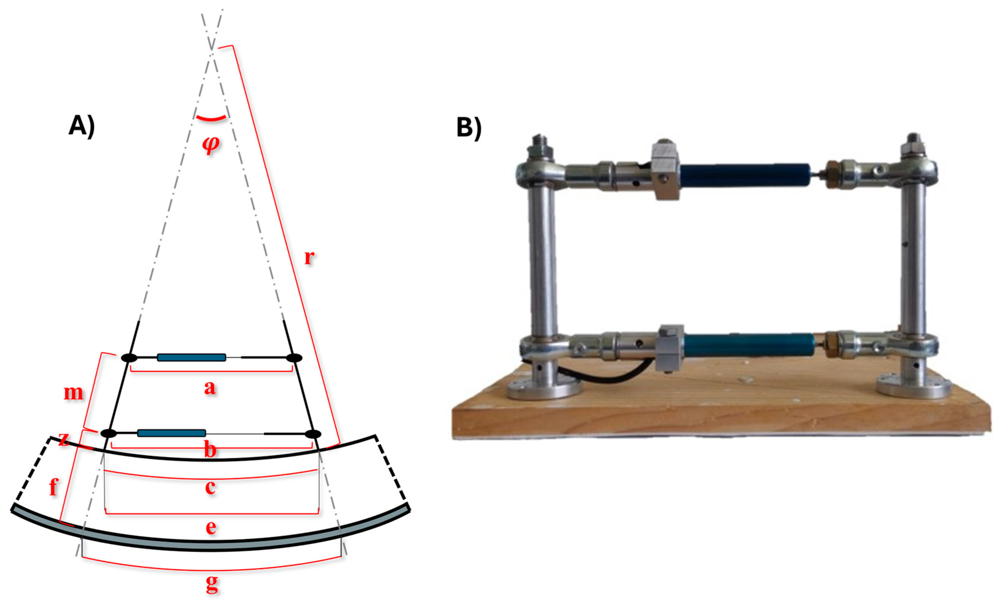 Forests 16 00546 g003