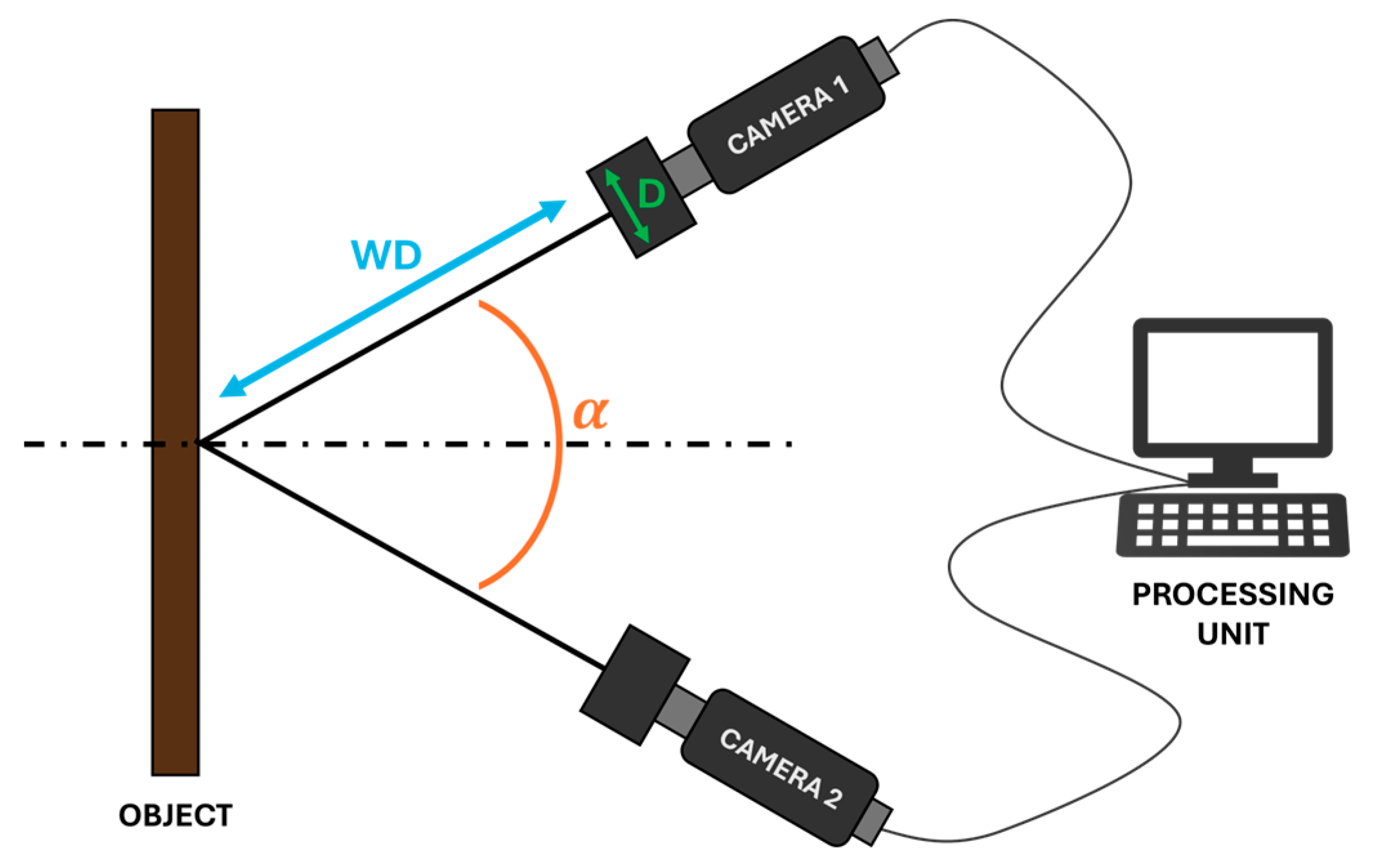 Forests 16 00546 g005
