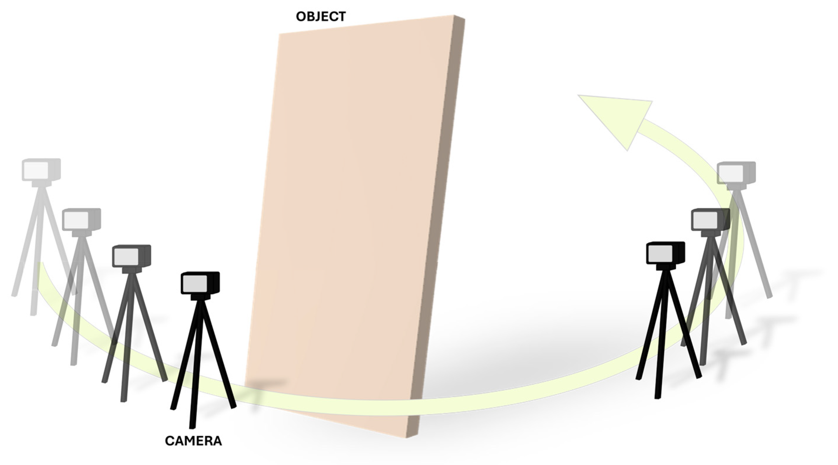 Forests 16 00546 g006