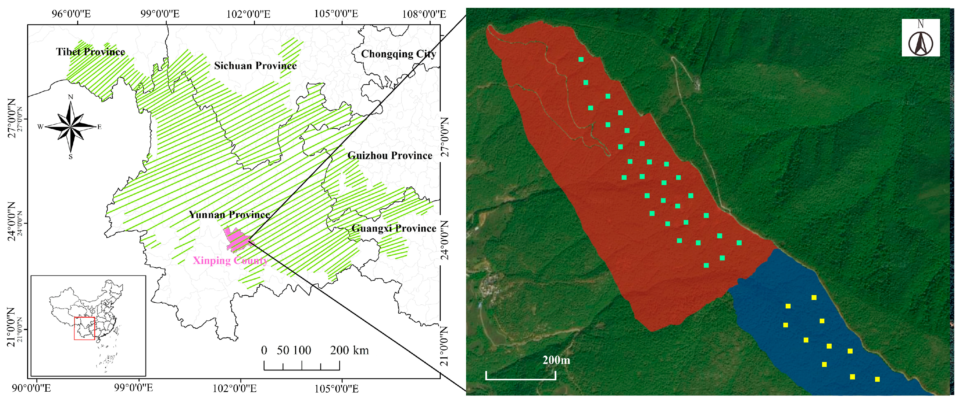Forests 16 00548 g001
