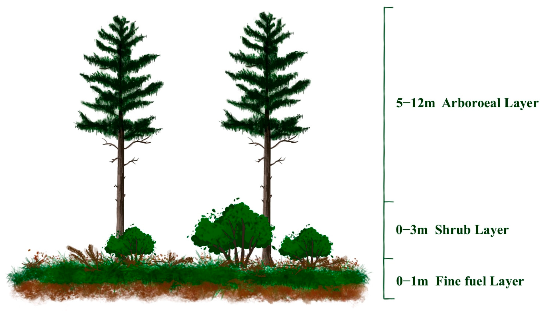Forests 16 00548 g003