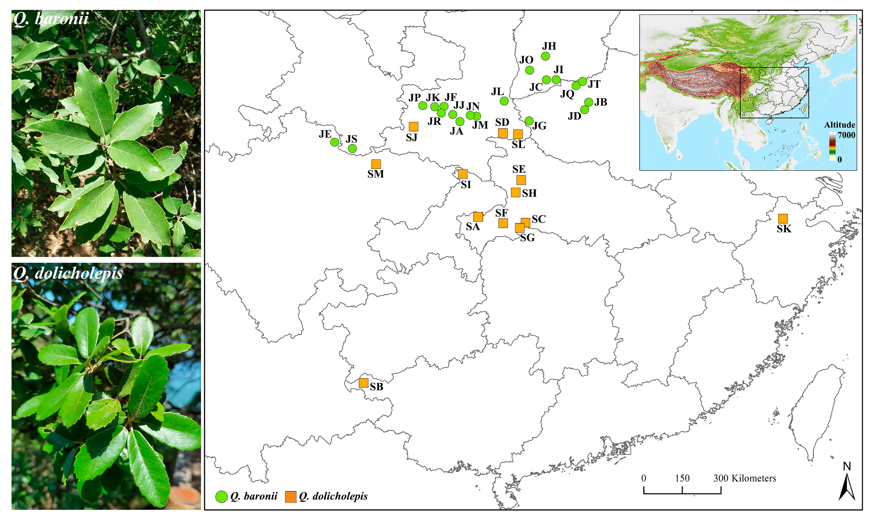 Forests 16 00549 g001