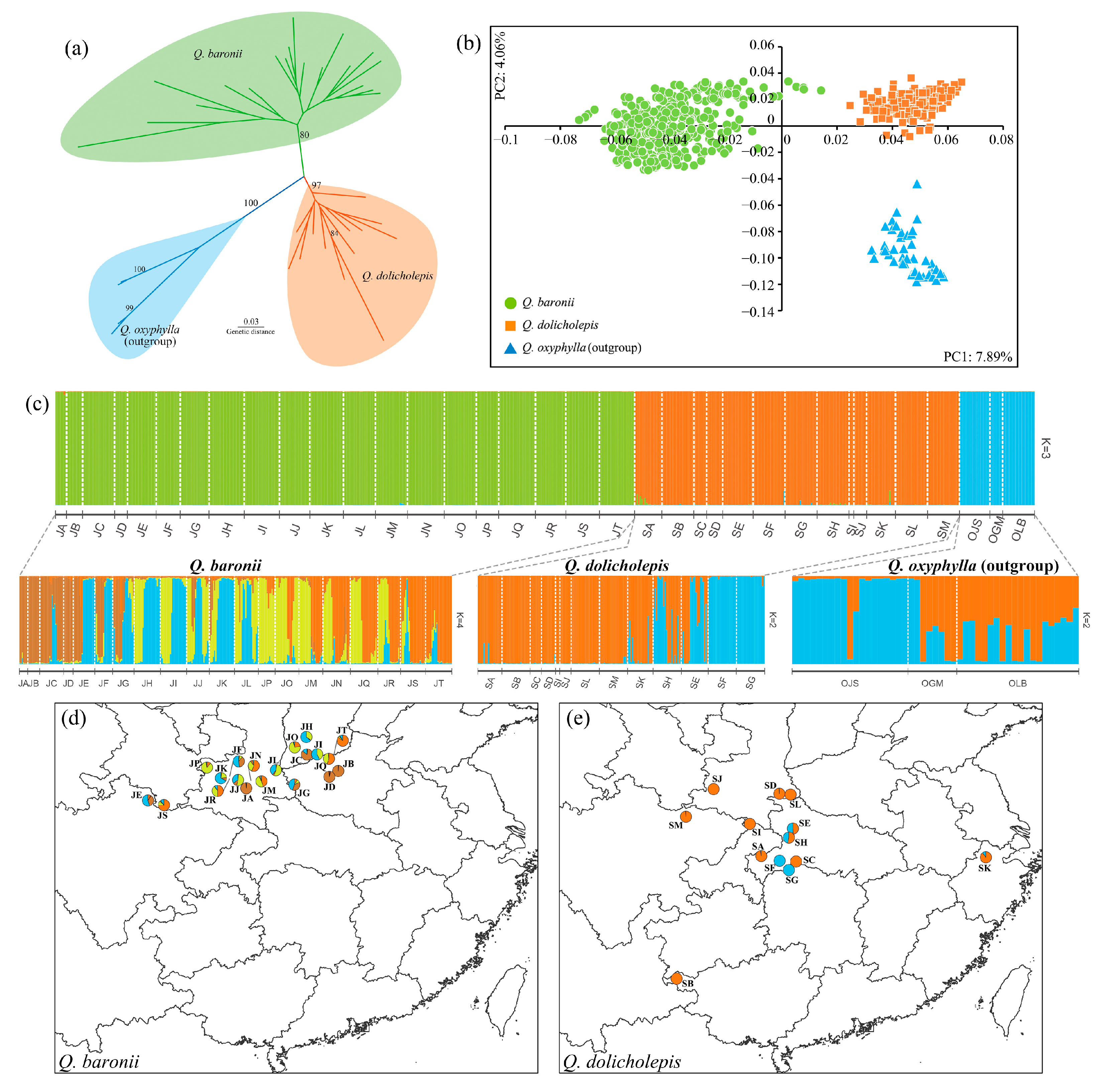 Forests 16 00549 g003