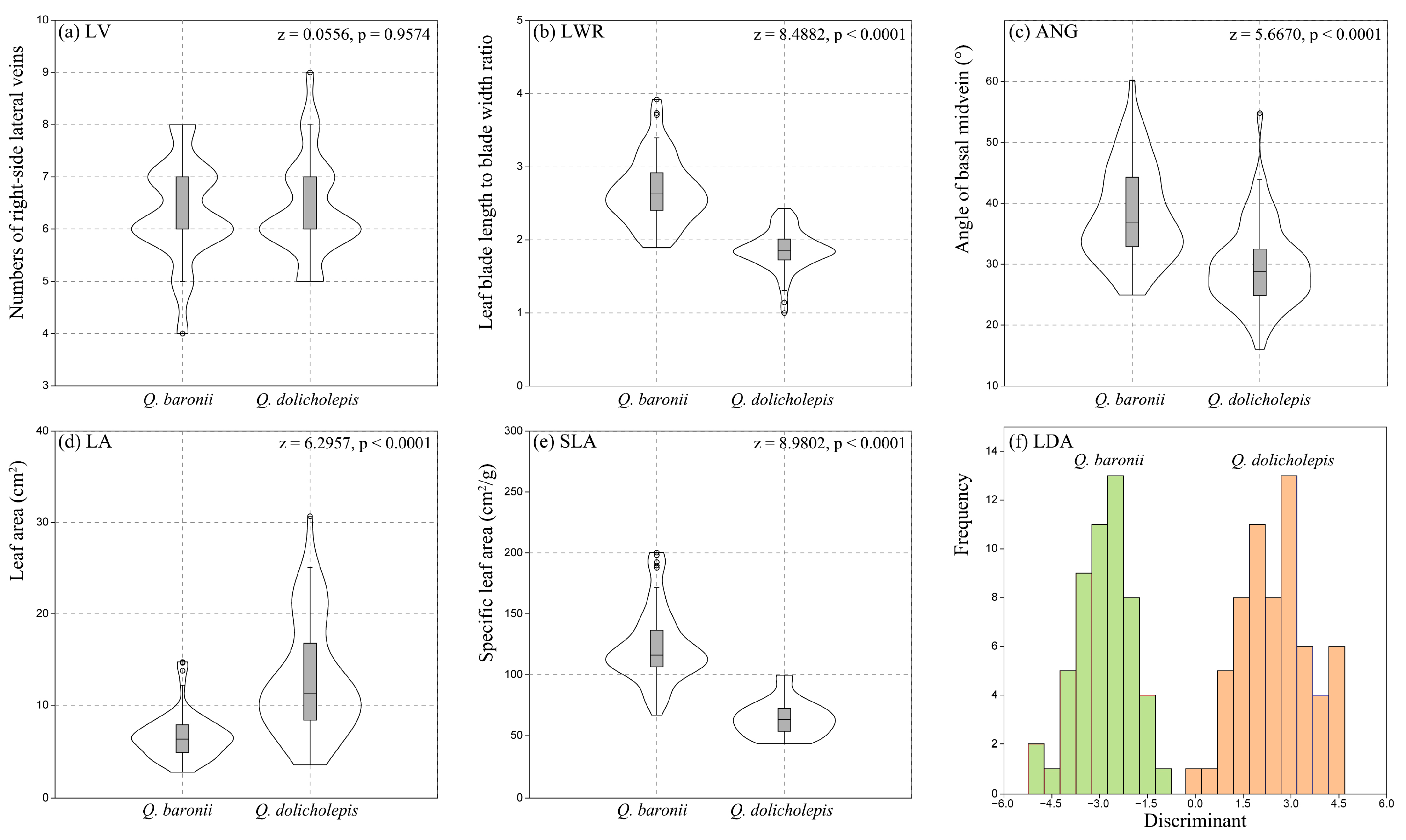 Forests 16 00549 g006