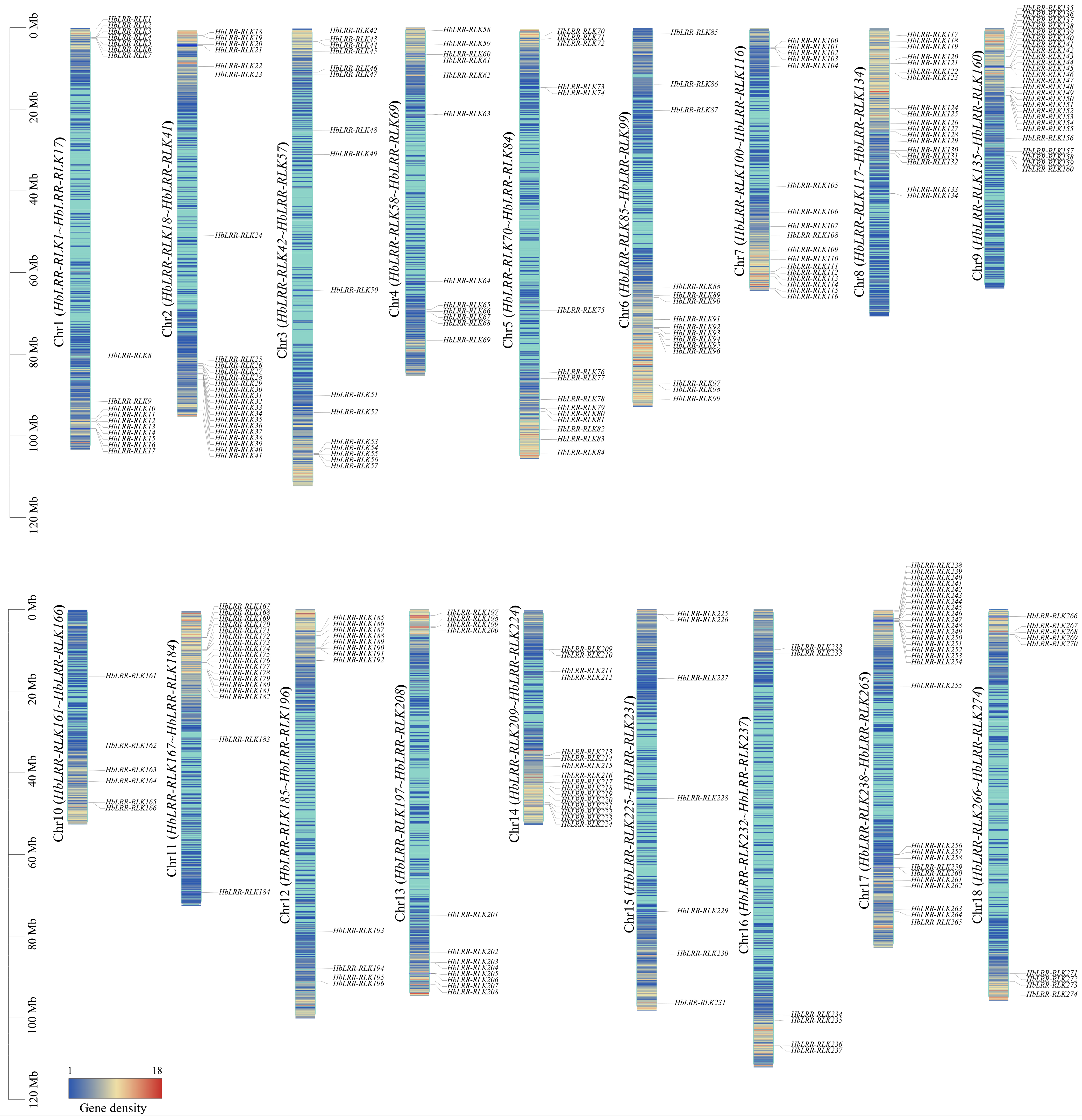 Forests 16 00552 g001