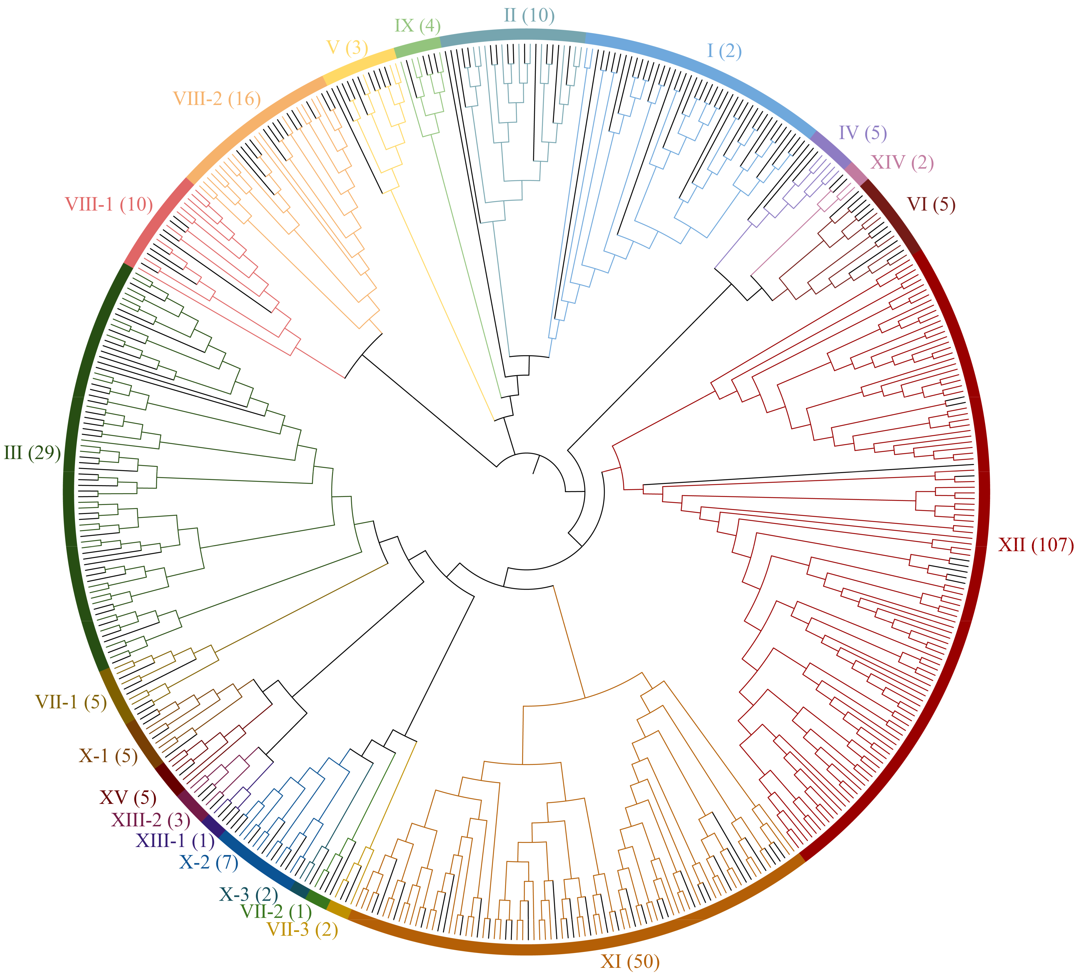 Forests 16 00552 g002