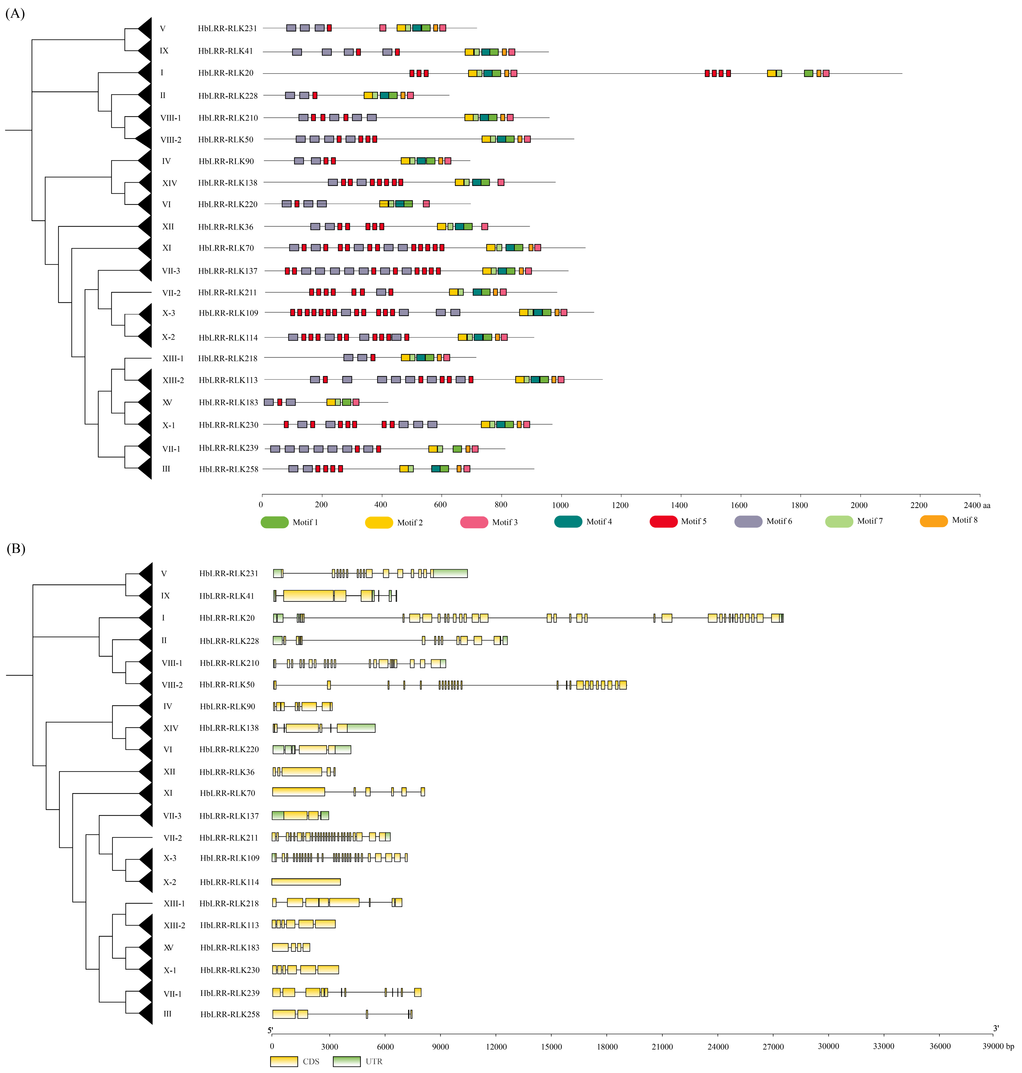 Forests 16 00552 g003