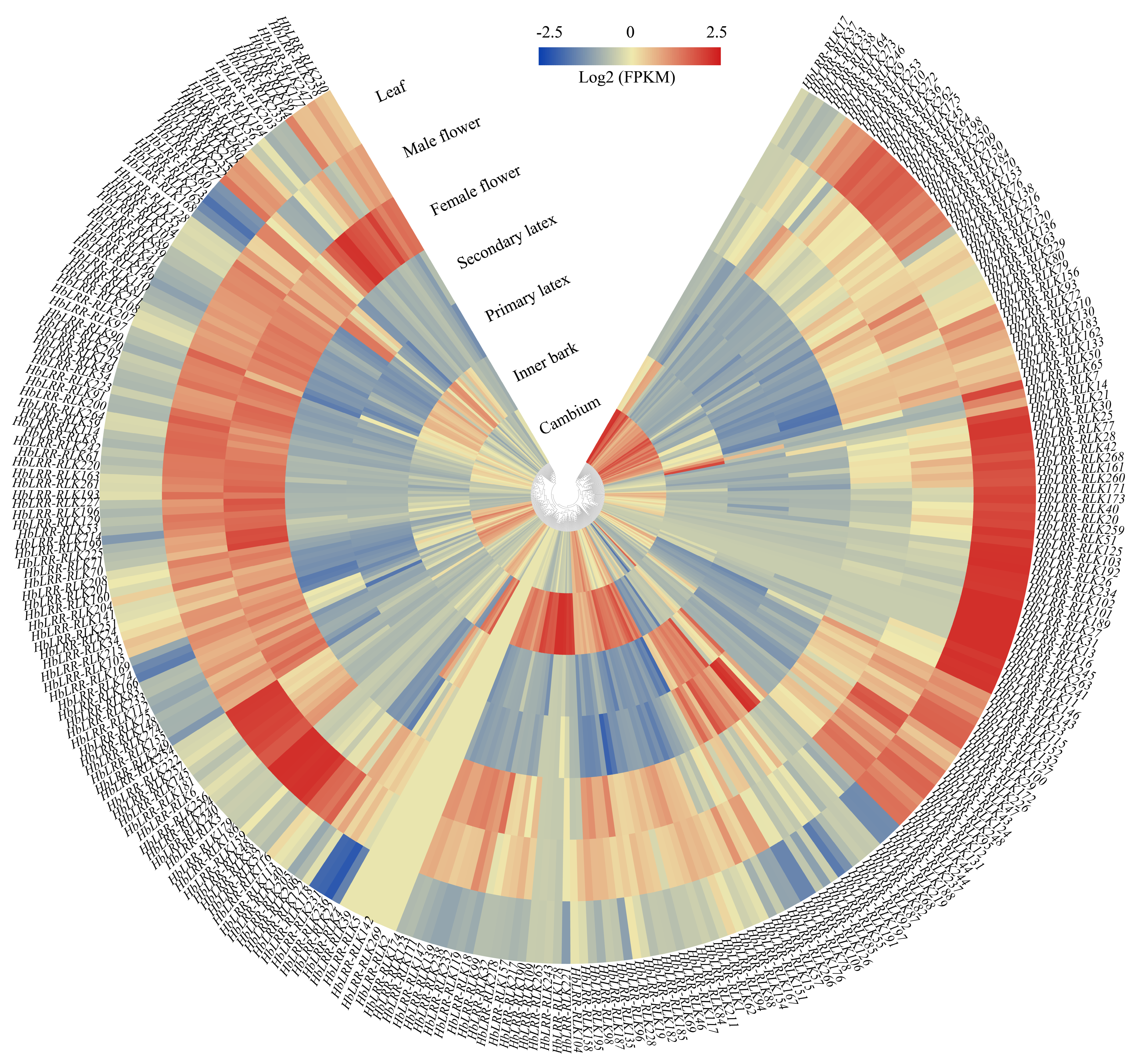 Forests 16 00552 g006