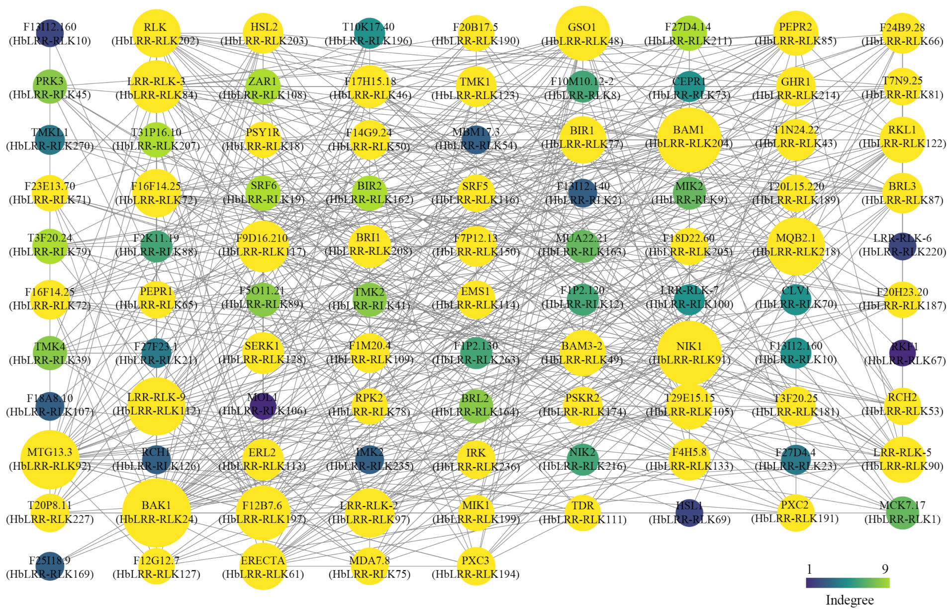 Forests 16 00552 g007