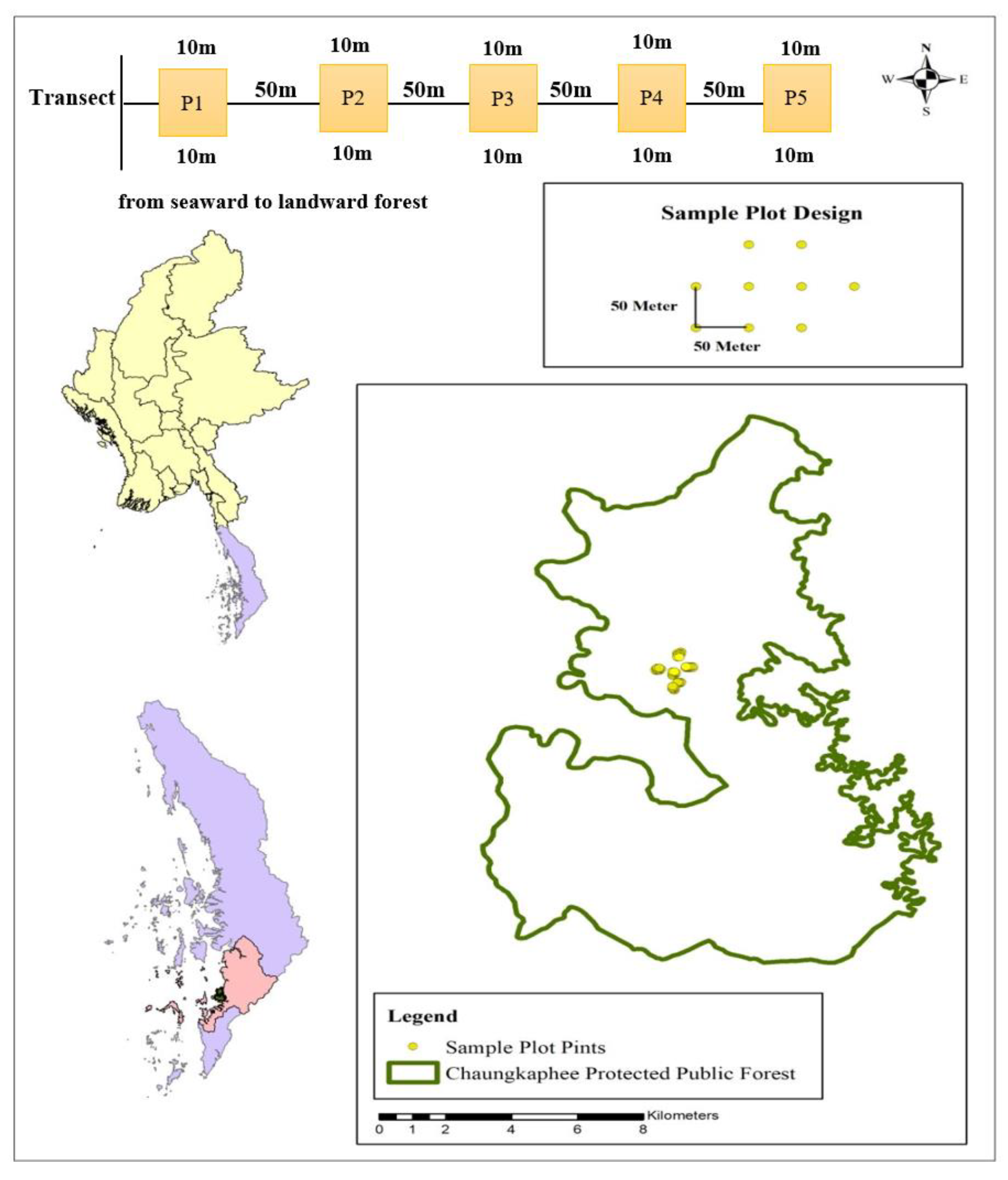 Forests 16 00554 g001