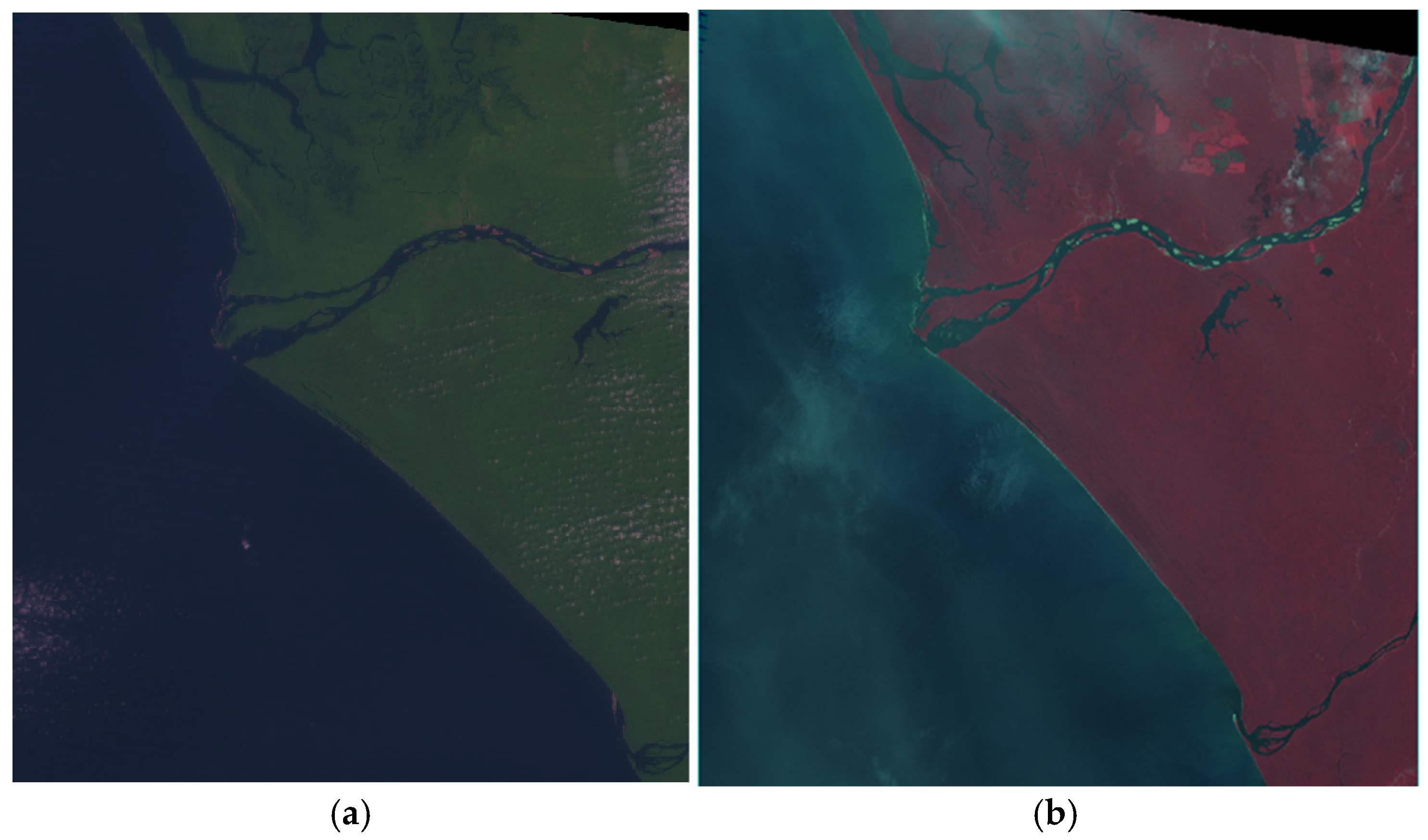 Forests 16 00555 ch001