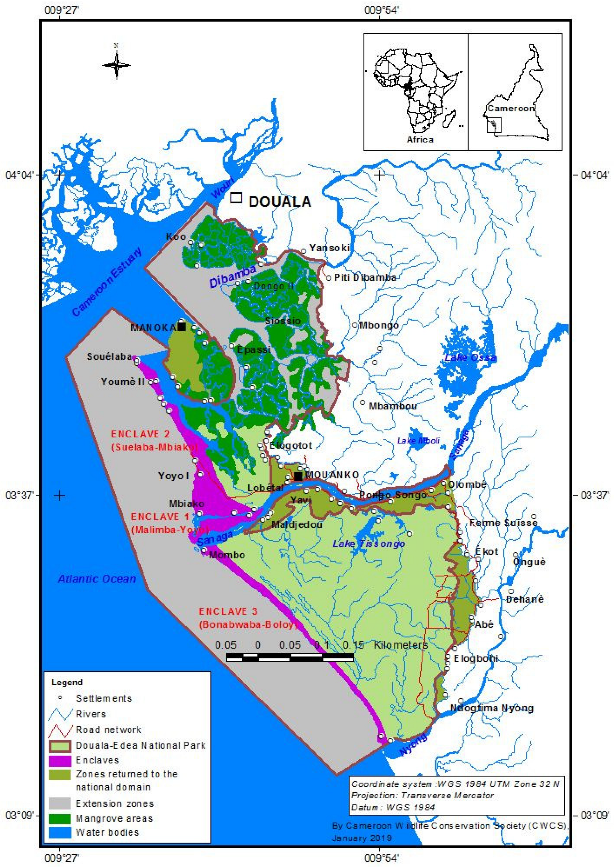 Forests 16 00555 g001