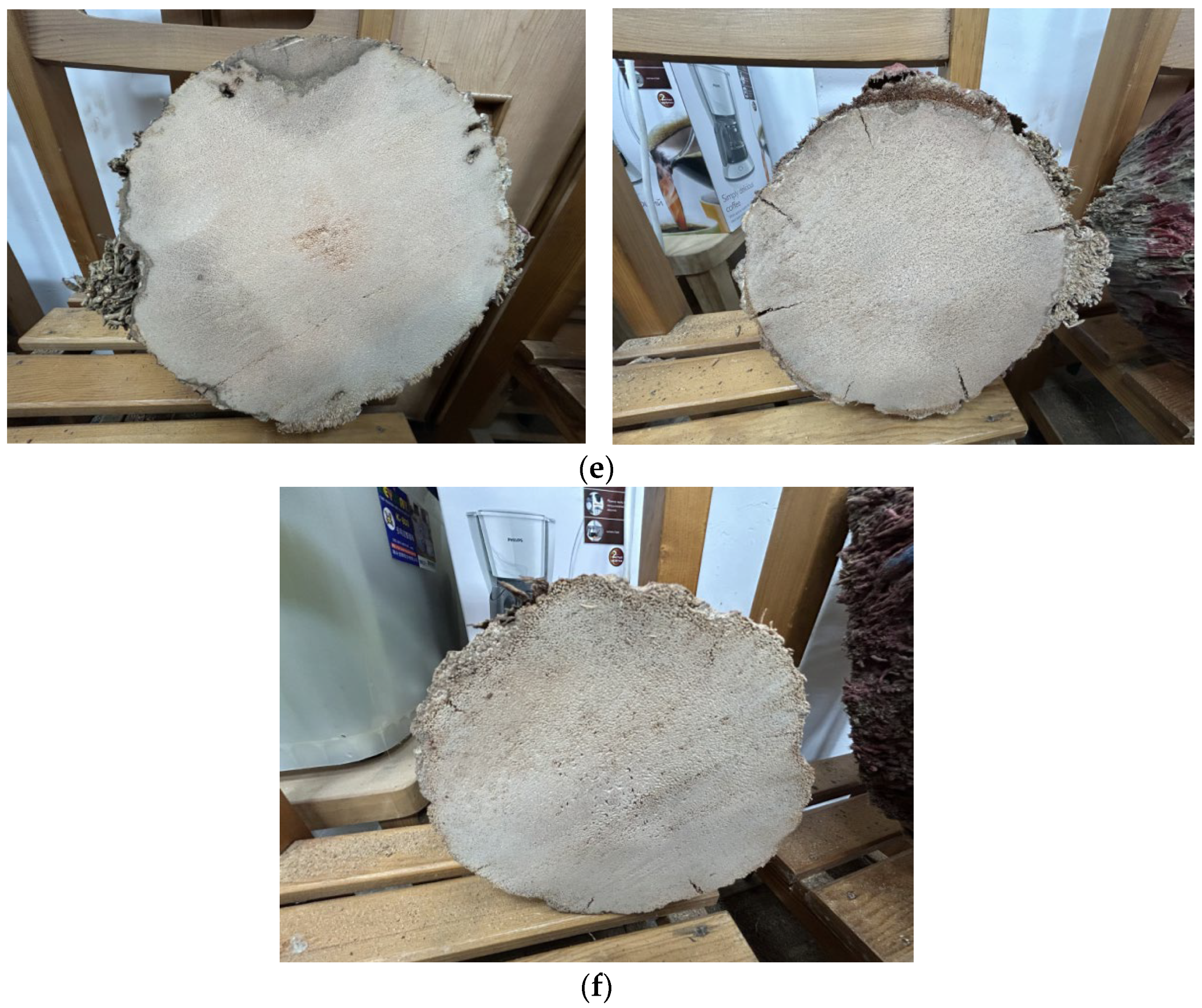 Forests 16 00558 g003b