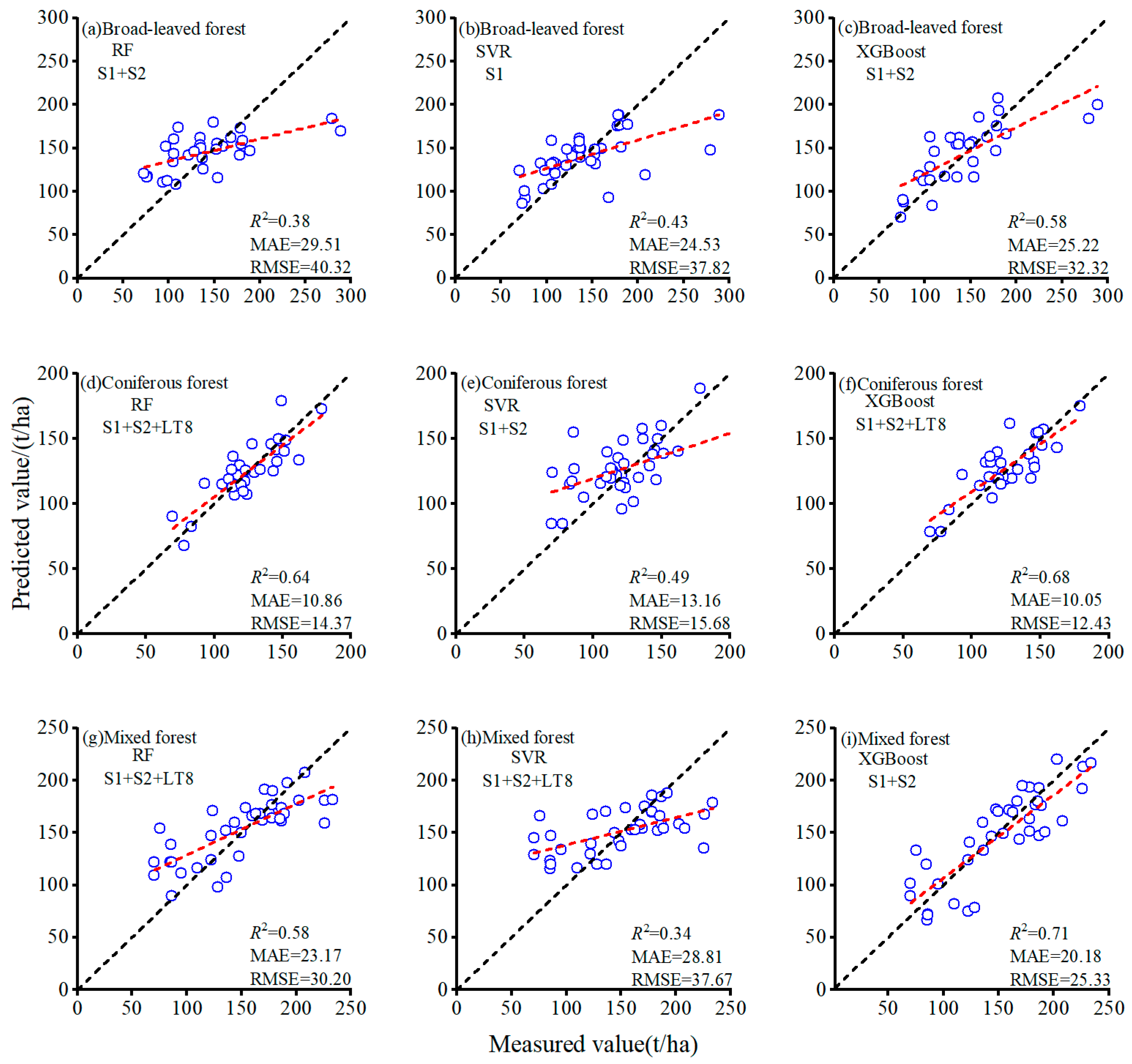 Forests 16 00559 g004