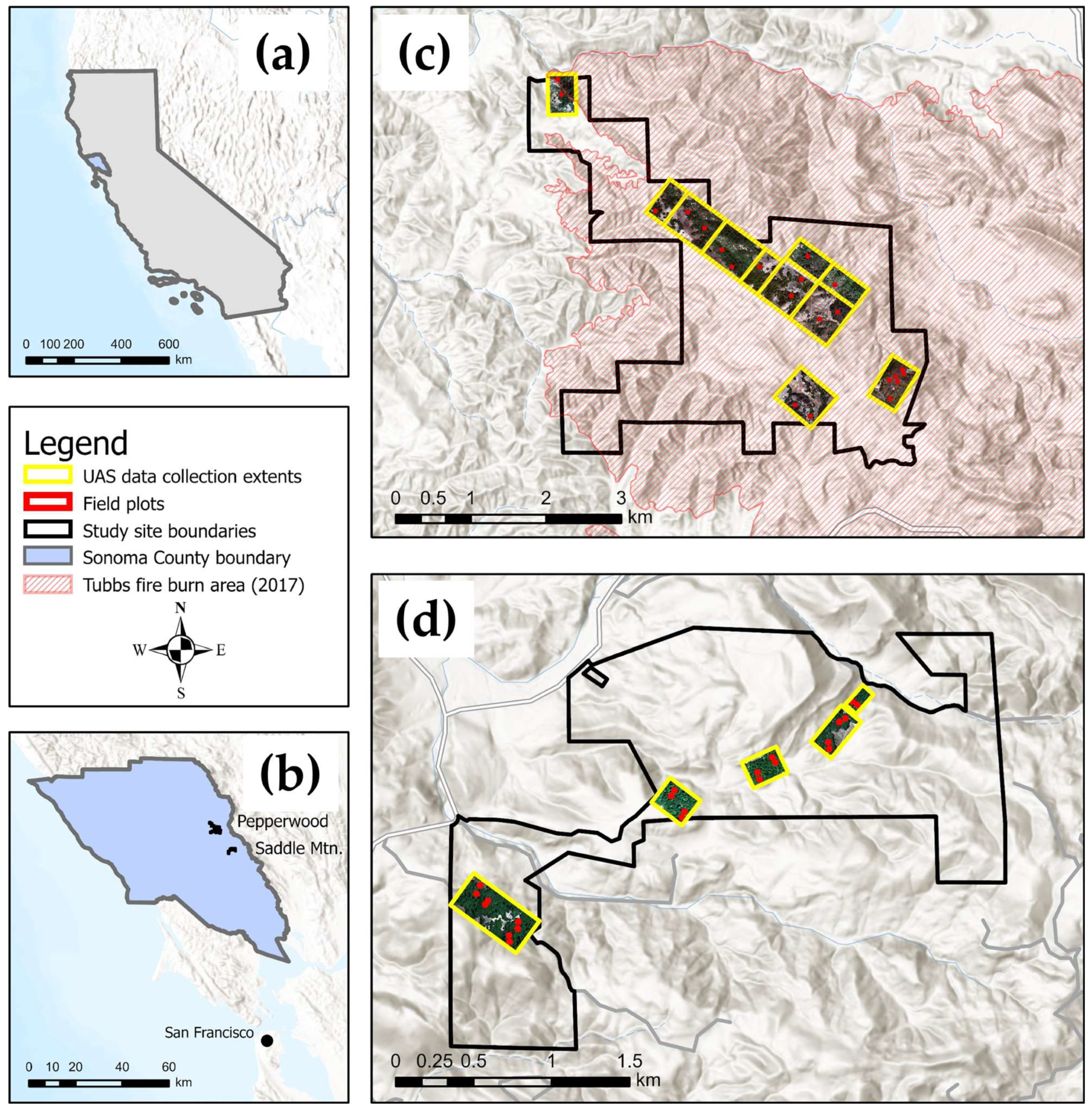 Forests 16 00564 g001