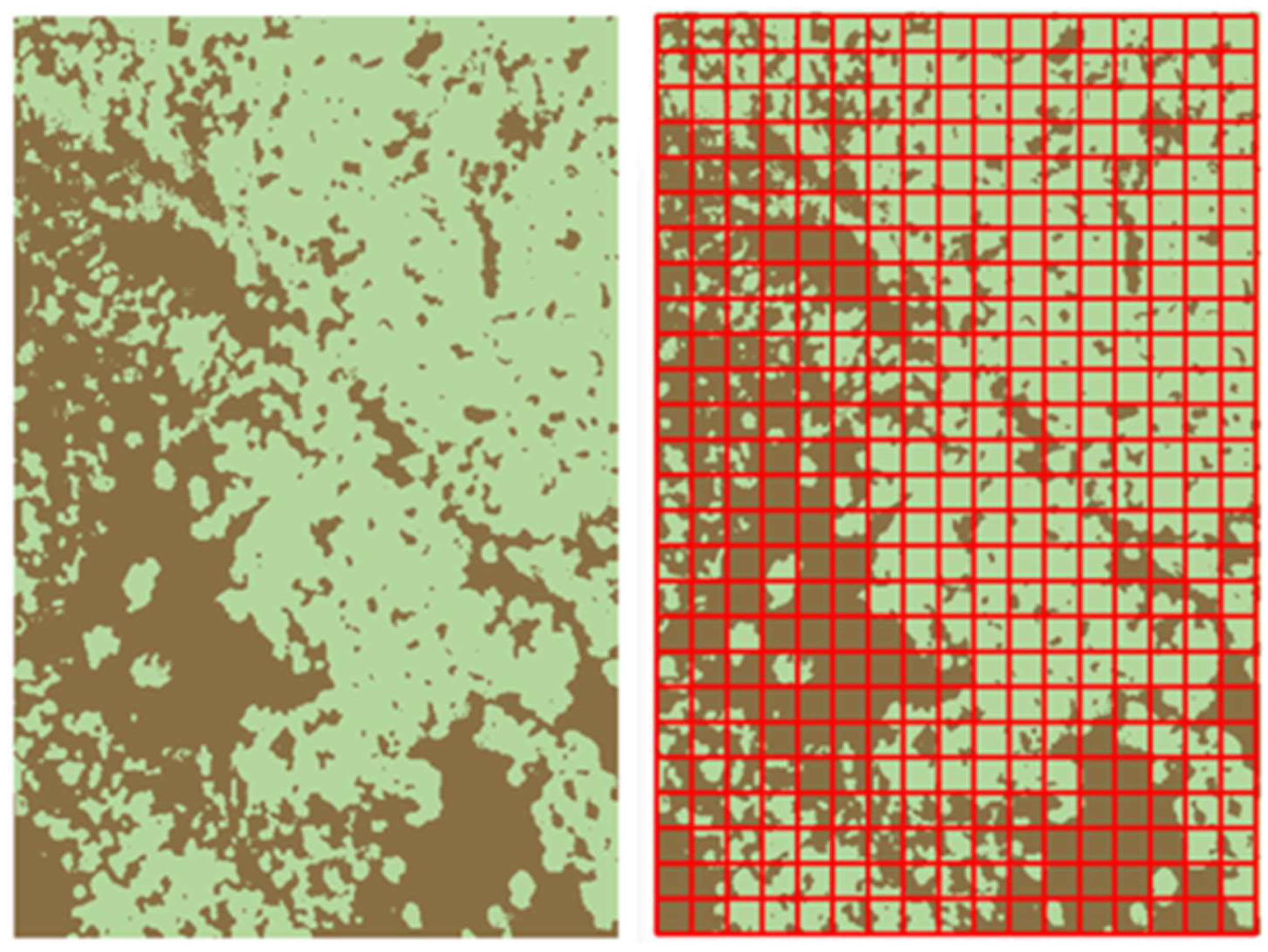 Forests 16 00564 g003