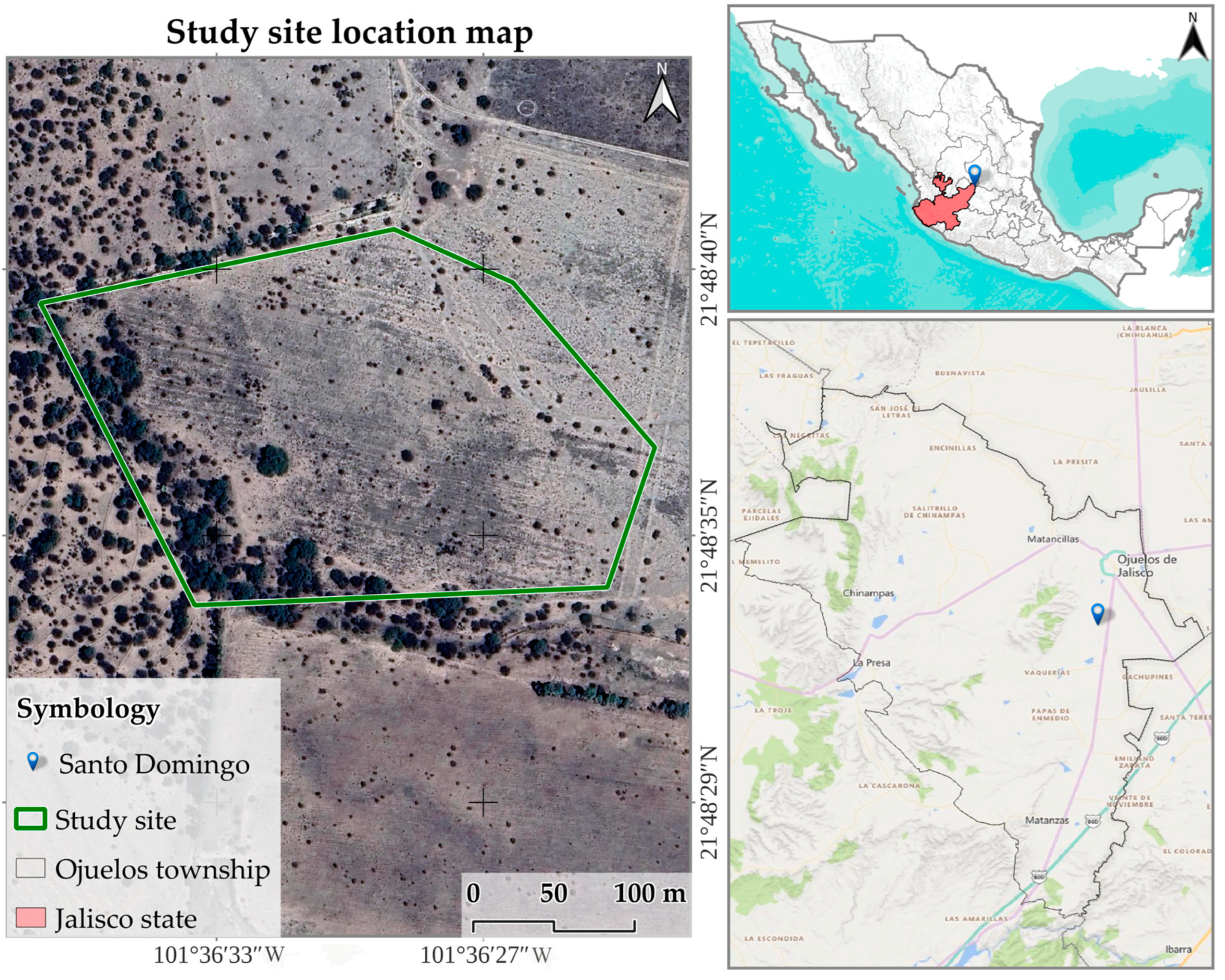 Forests 16 00568 g001