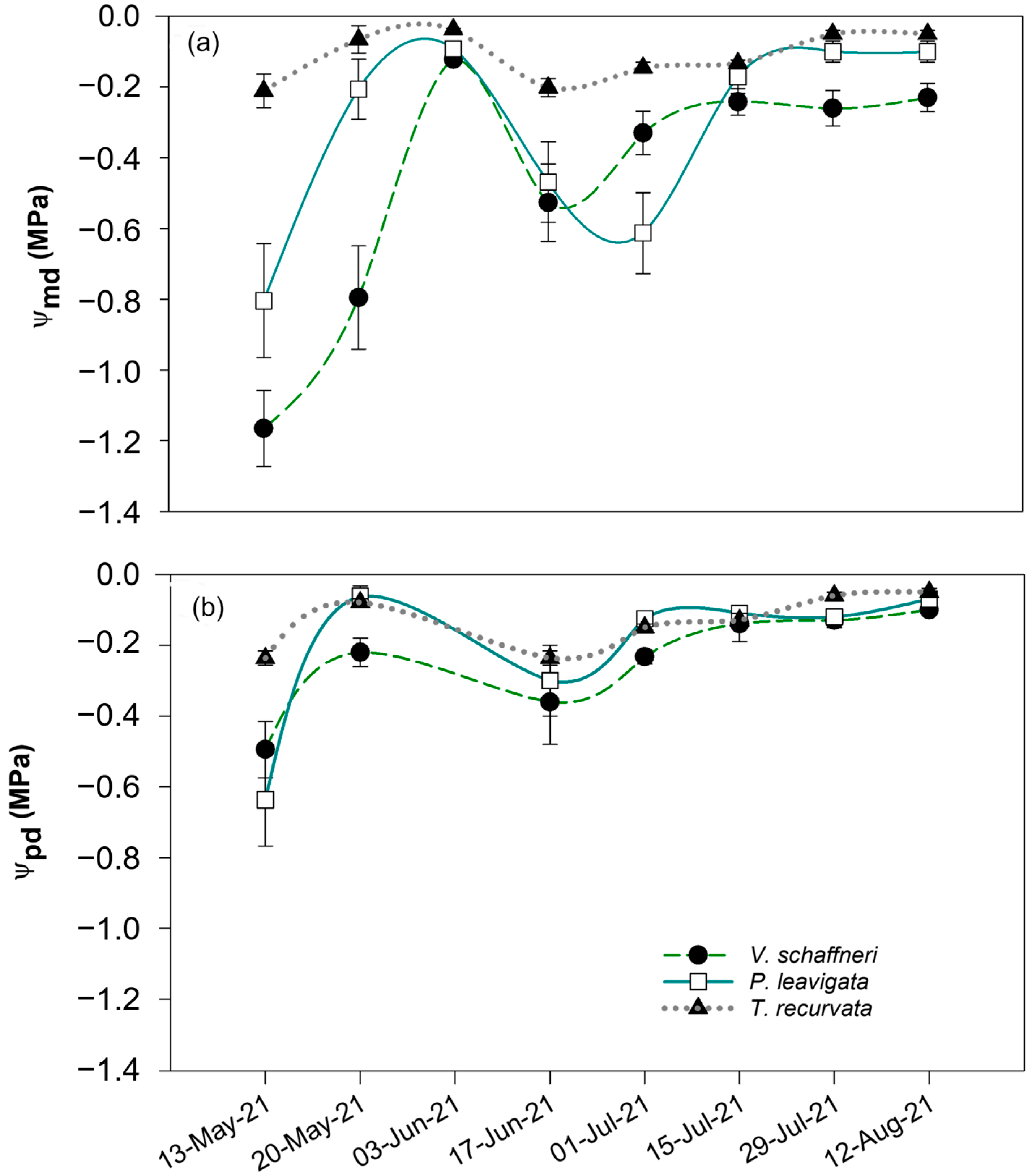 Forests 16 00568 g004