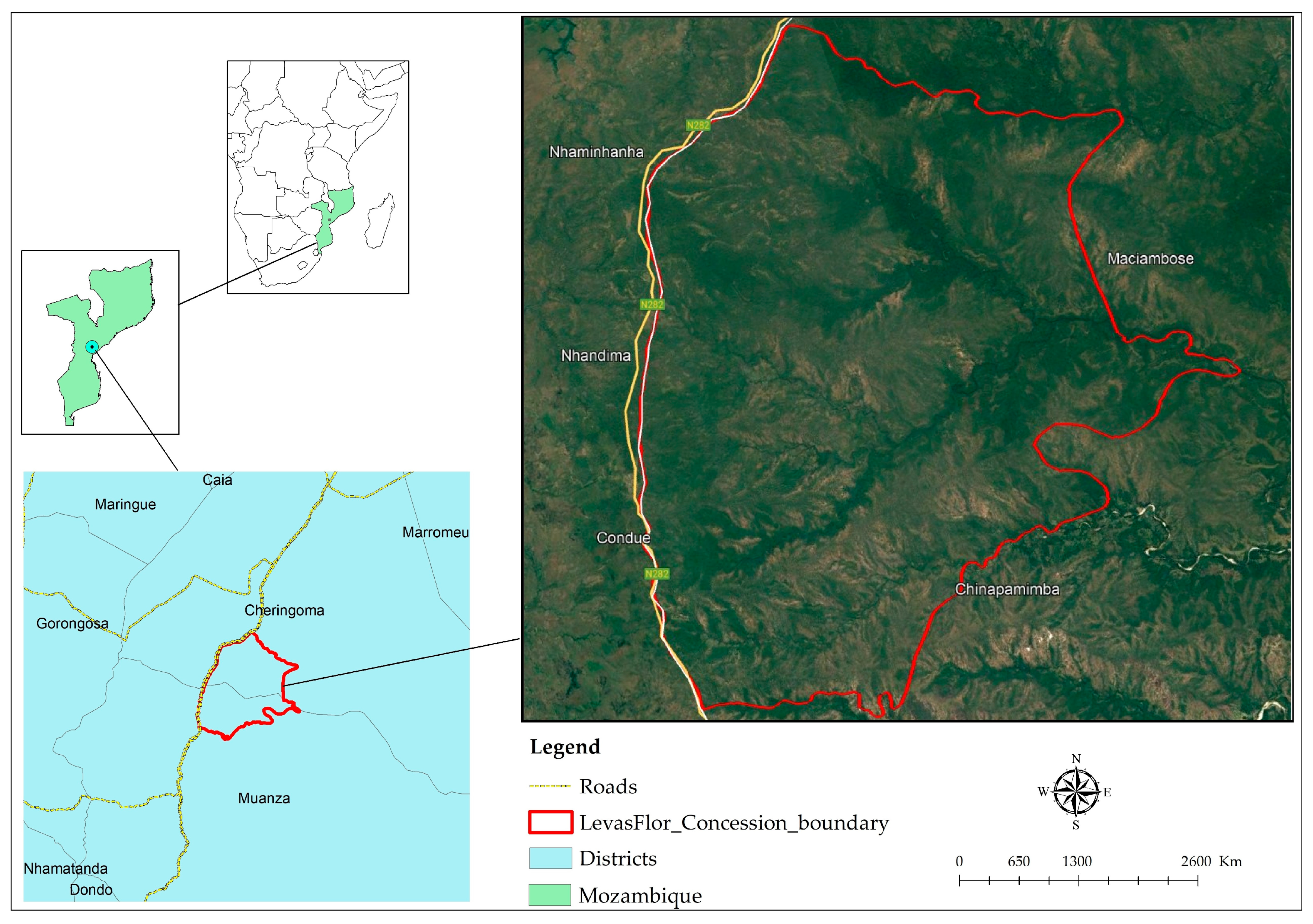 Forests 16 00569 g001