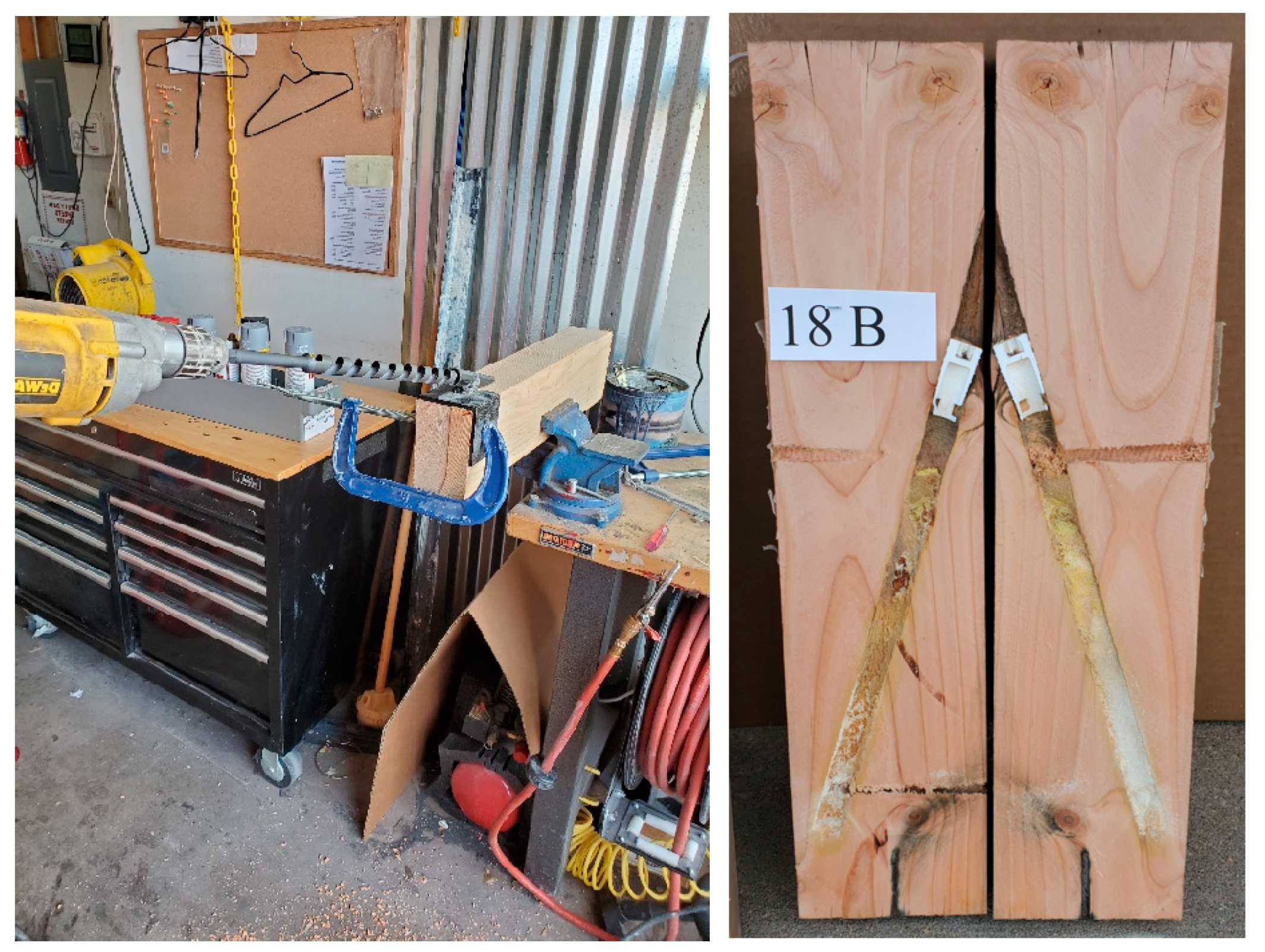 Forests 16 00572 g001