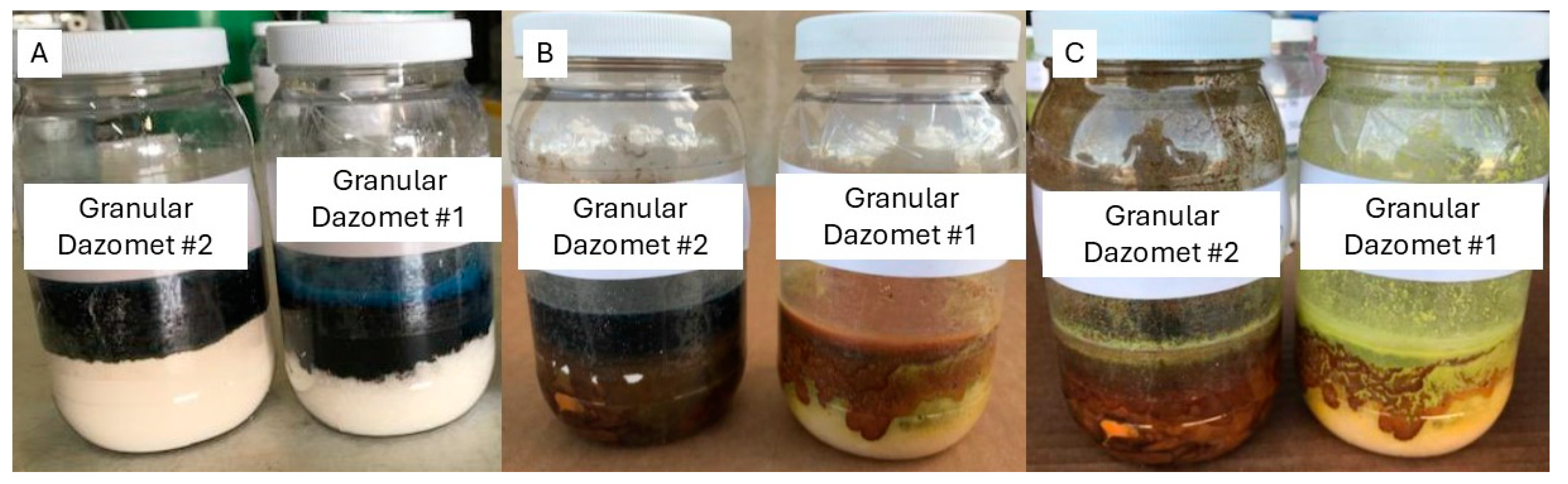 Forests 16 00572 g004