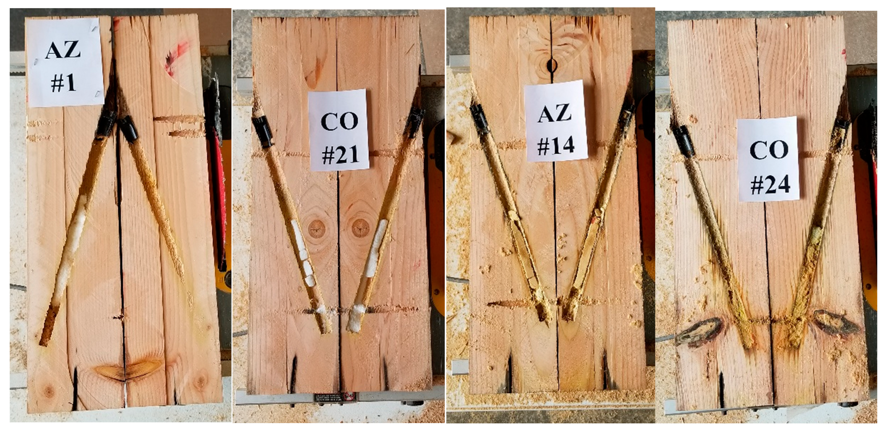 Forests 16 00572 g009