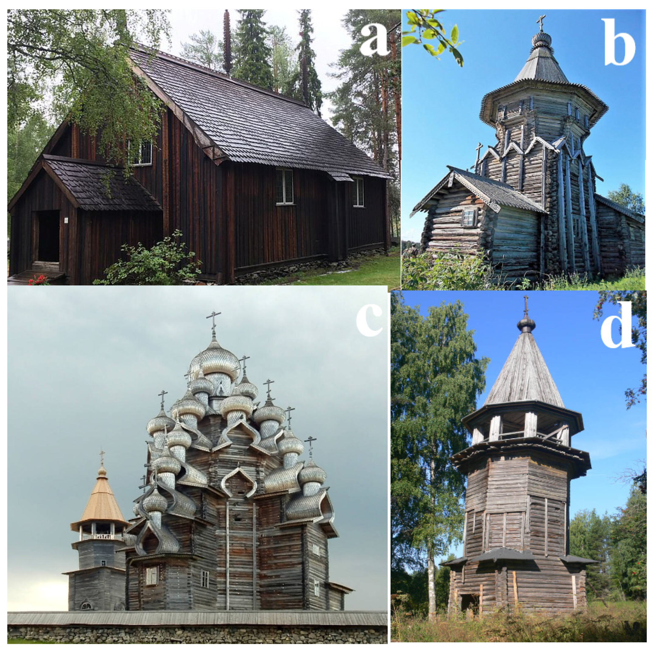 Forests 16 00573 g002