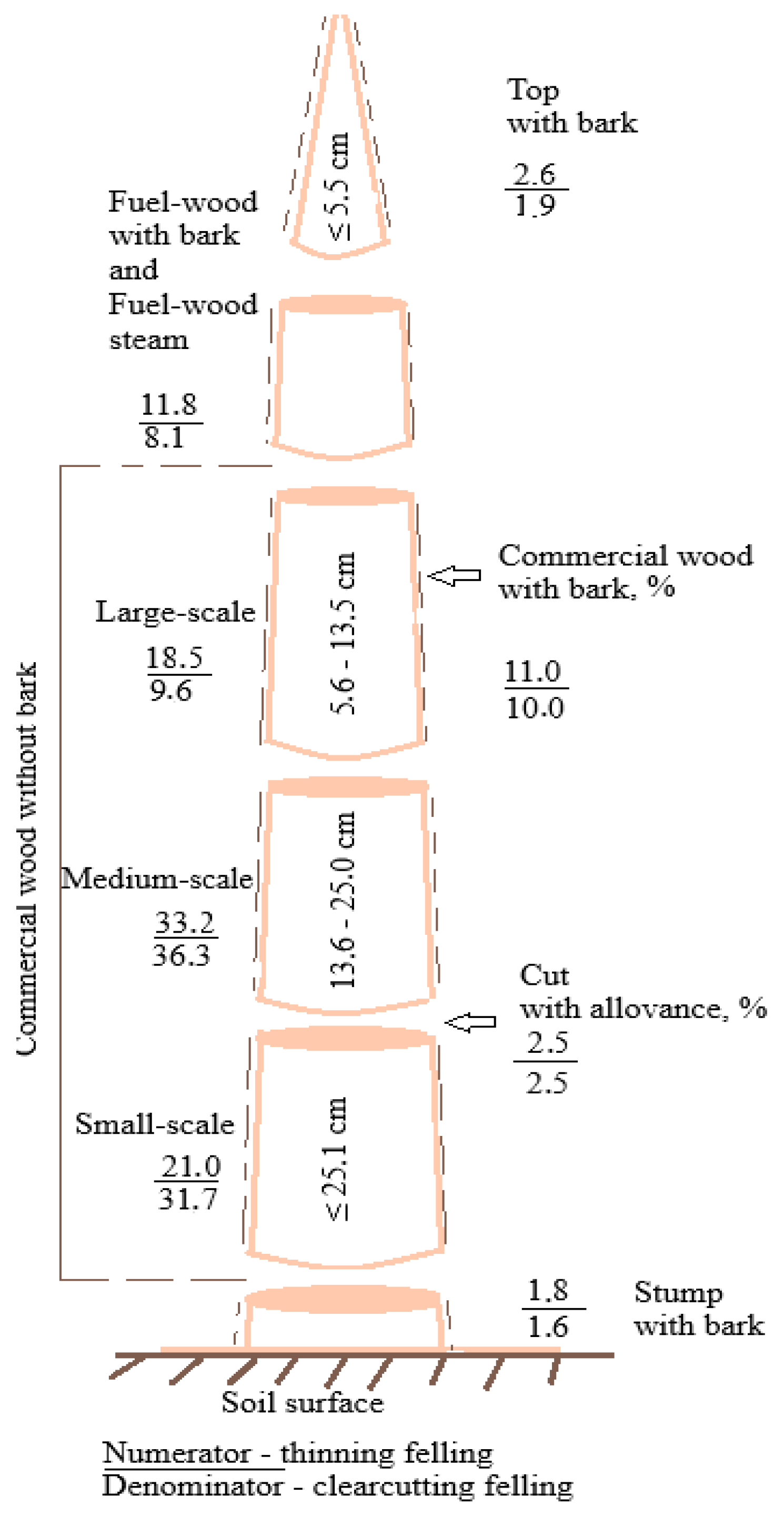 Forests 16 00577 g001